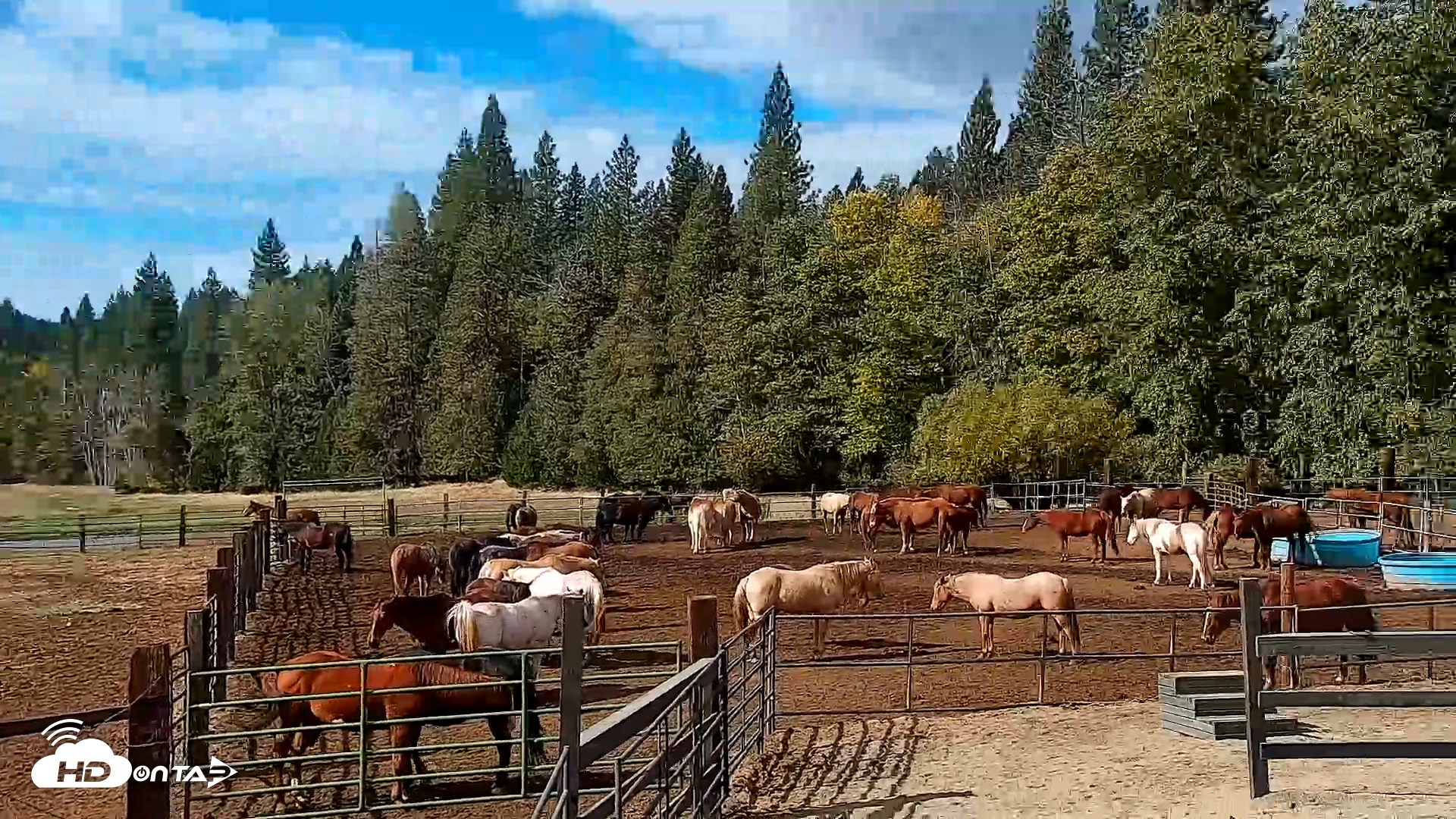 Snapshot of Greenhorn Ranch Live Horse Arena Cam taken Oct 19, 2025, 11:39am PDT