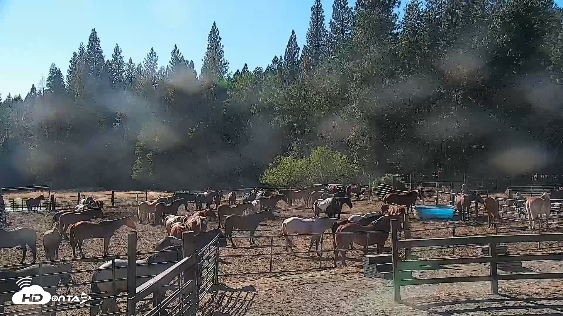 Snapshot of Greenhorn Ranch Live Horse Arena Cam taken Sep 15, 2026, 4:15pm PDT