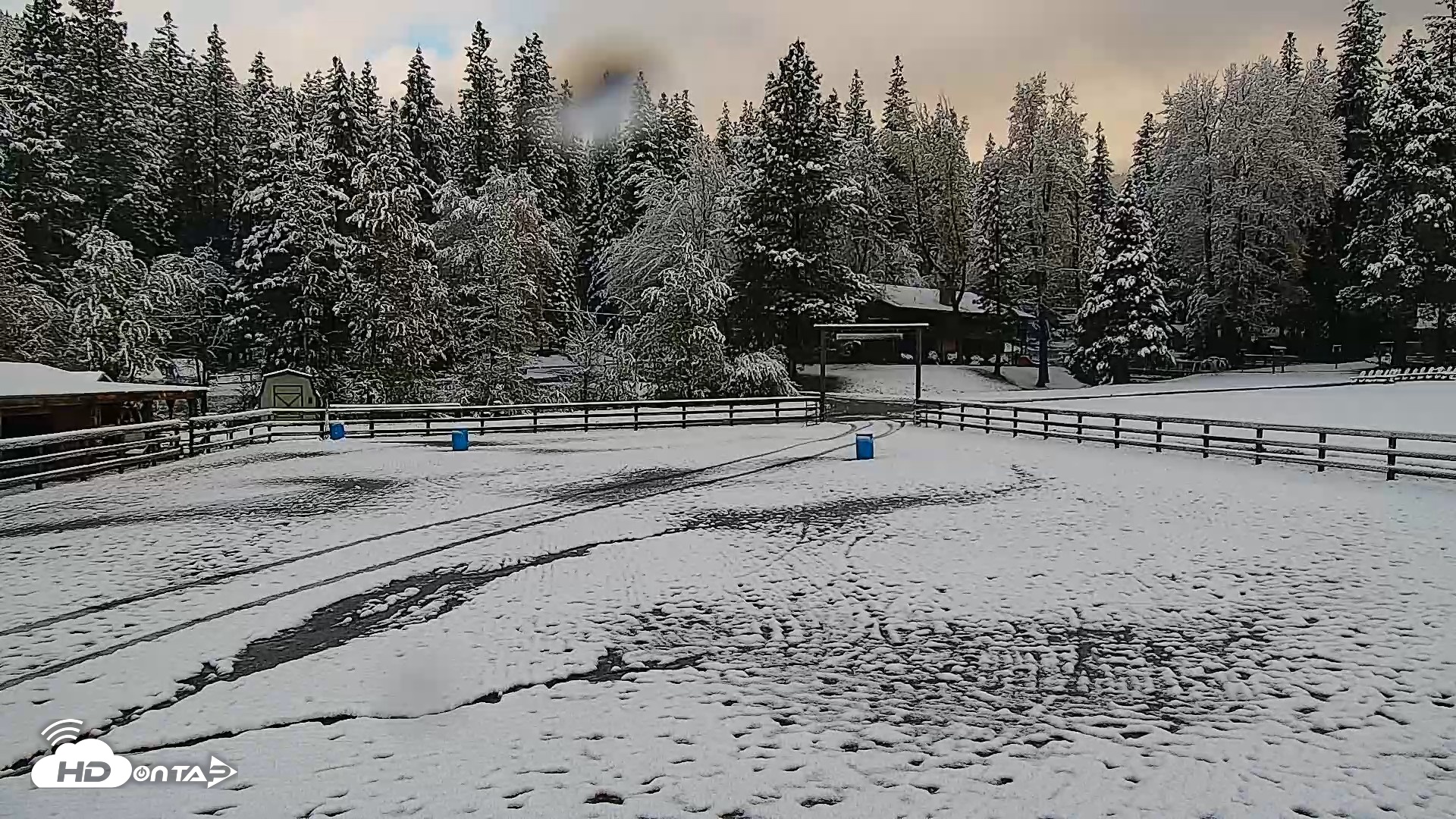 Snapshot of Greenhorn Ranch Live Horse Arena Cam taken Apr 12, 2026, 8:34am PDT