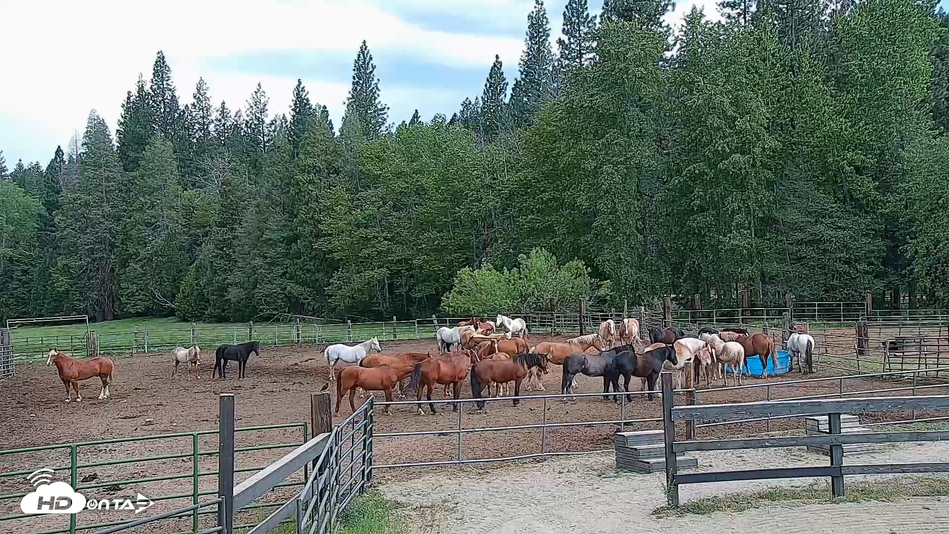 Snapshot of Greenhorn Ranch Live Horse Arena Cam taken May 3, 2026, 2:46pm PDT