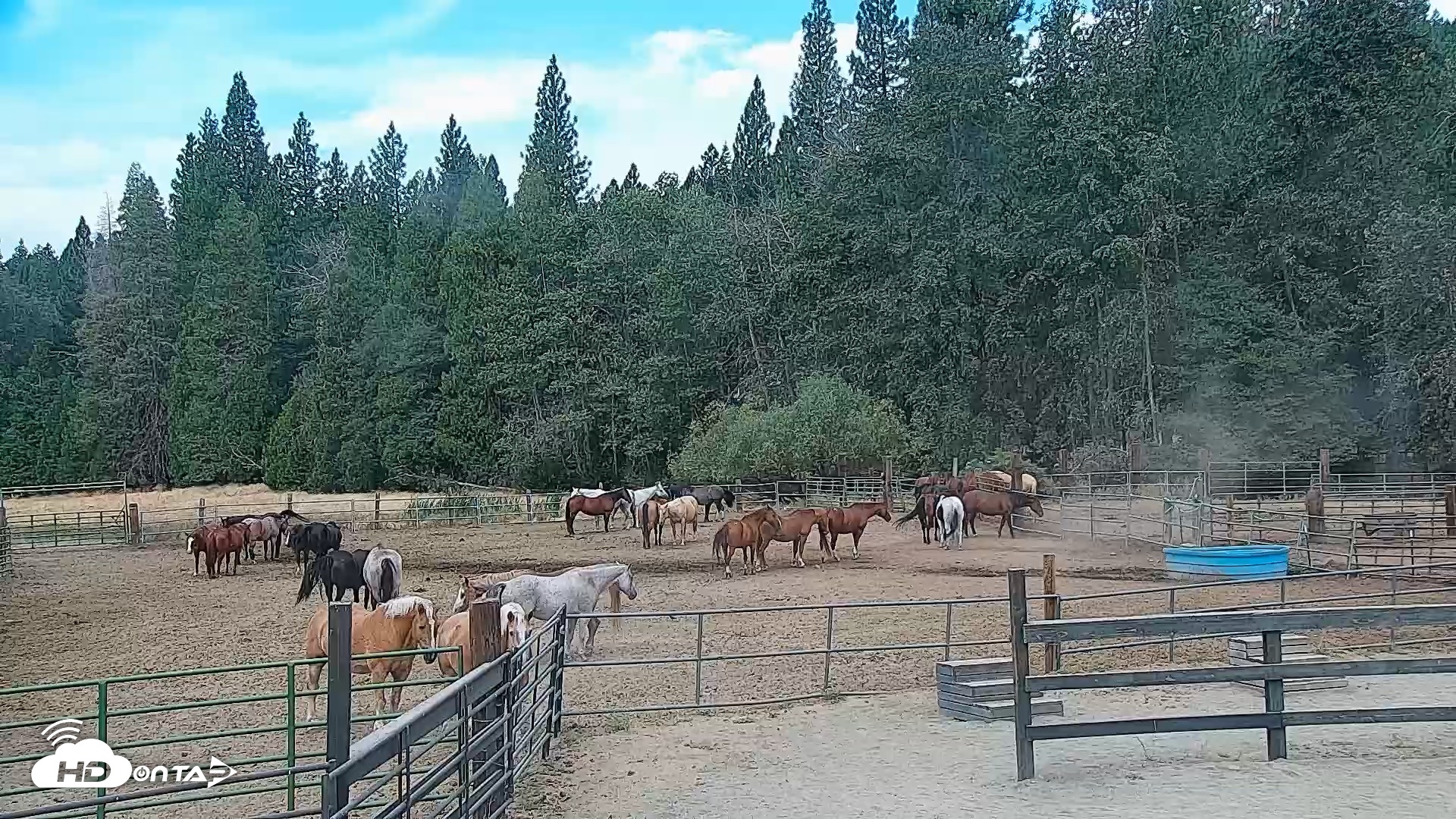 Snapshot of Greenhorn Ranch Live Horse Arena Cam taken Aug 25, 2026, 10:07am PDT