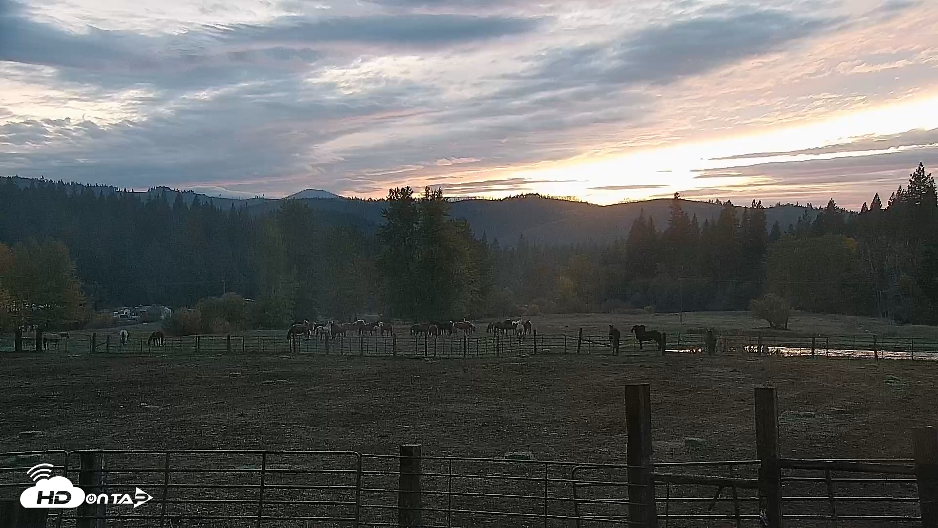 Snapshot of Greenhorn Ranch Live Horse Arena Cam taken Oct 22, 2025, 6:33pm PDT