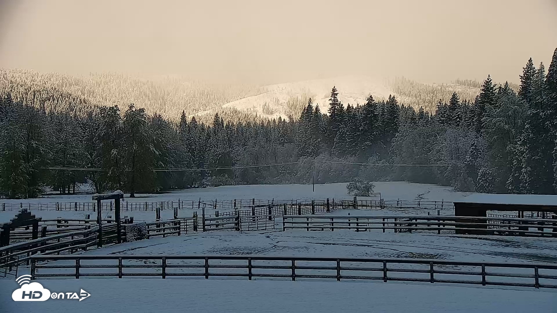 Snapshot of Greenhorn Ranch Live Horse Arena Cam taken Apr 12, 2026, 8:33am PDT