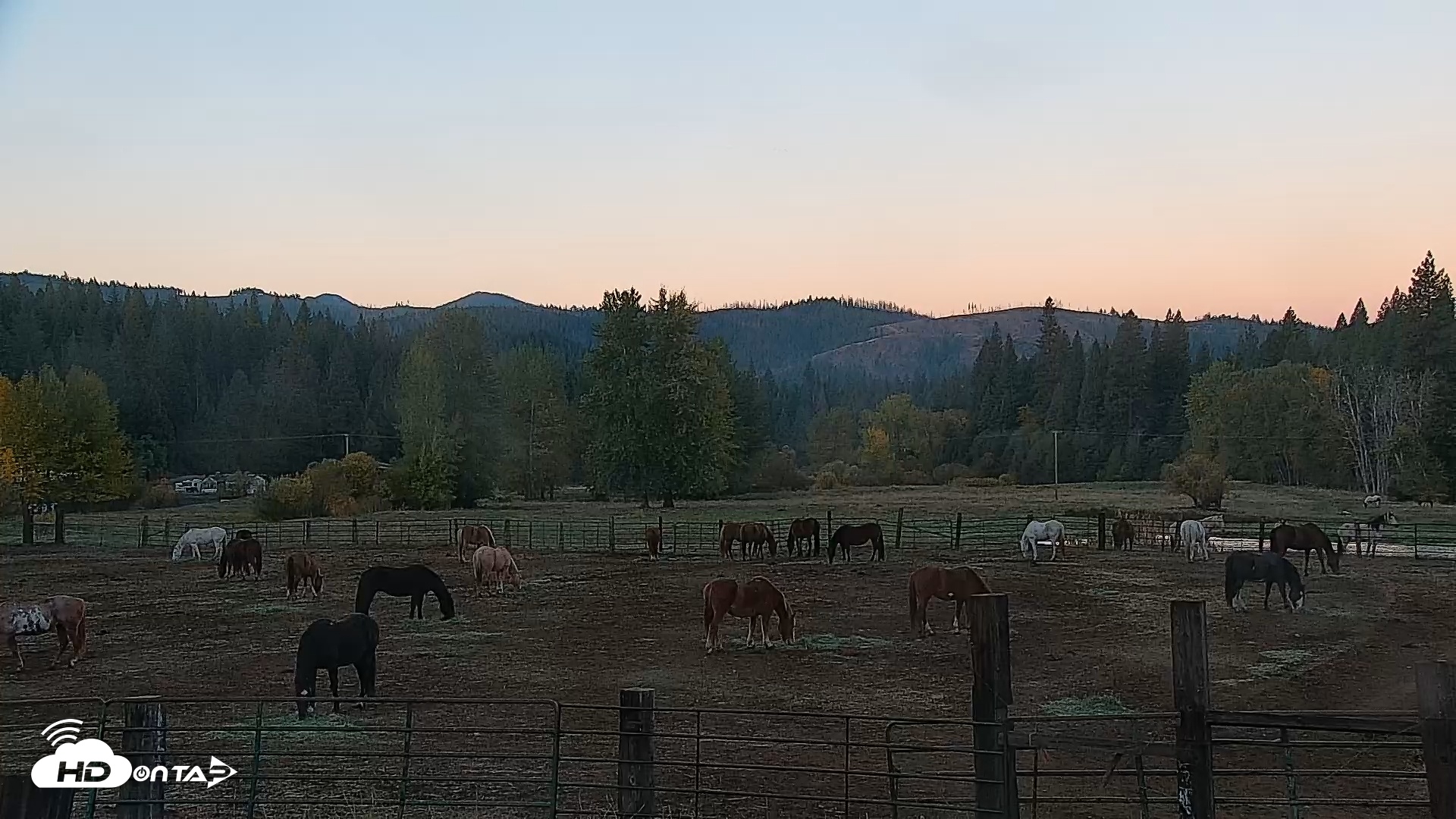 Snapshot of Greenhorn Ranch Live Horse Arena Cam taken Oct 21, 2025, 7:21am PDT