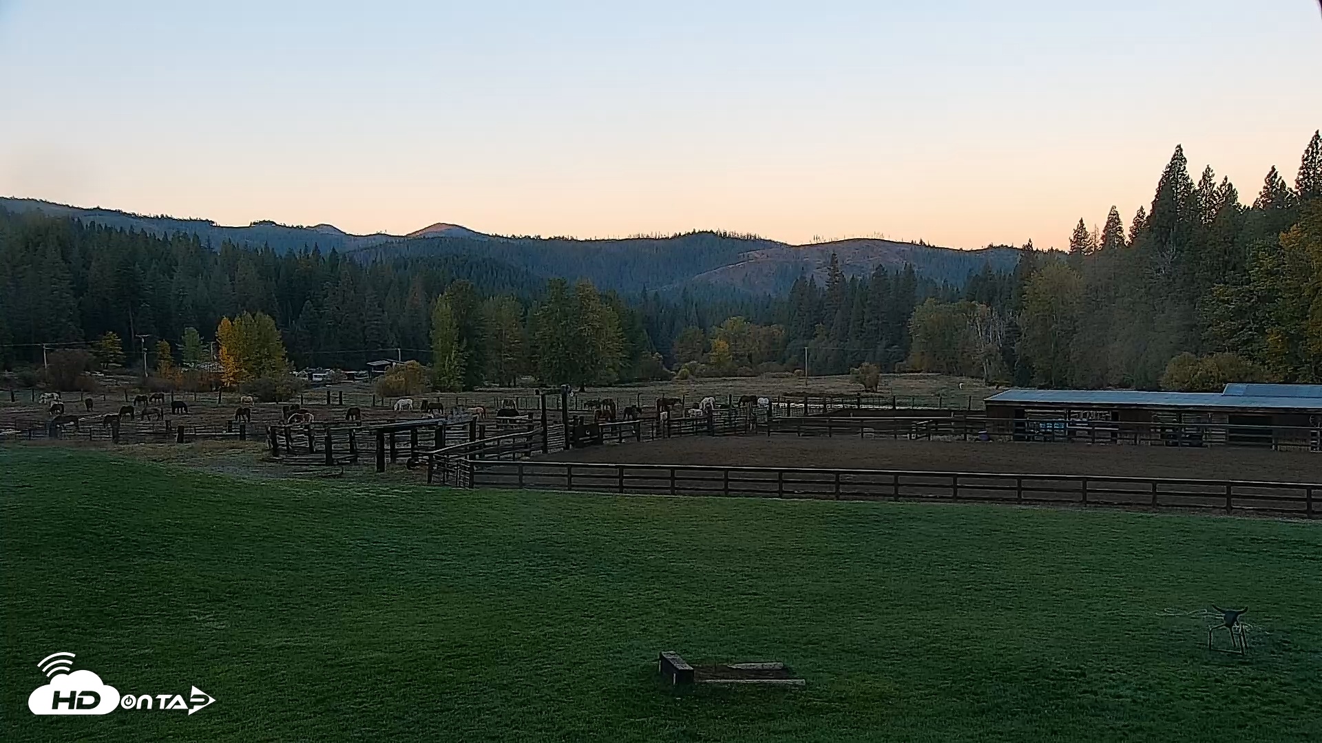 Snapshot of Greenhorn Ranch Live Horse Arena Cam taken Oct 21, 2025, 7:25am PDT