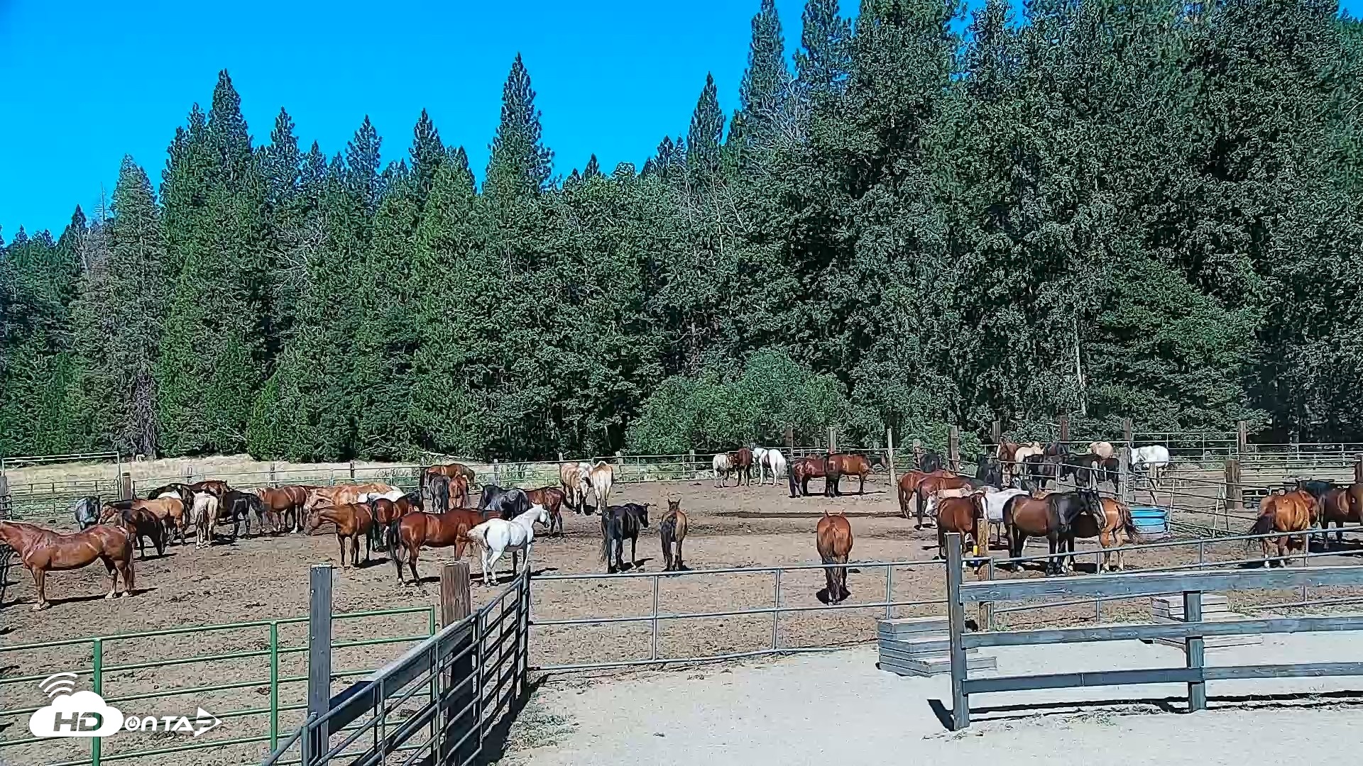 Snapshot of Greenhorn Ranch Live Horse Arena Cam taken Jul 17, 2026, 9:42am PDT