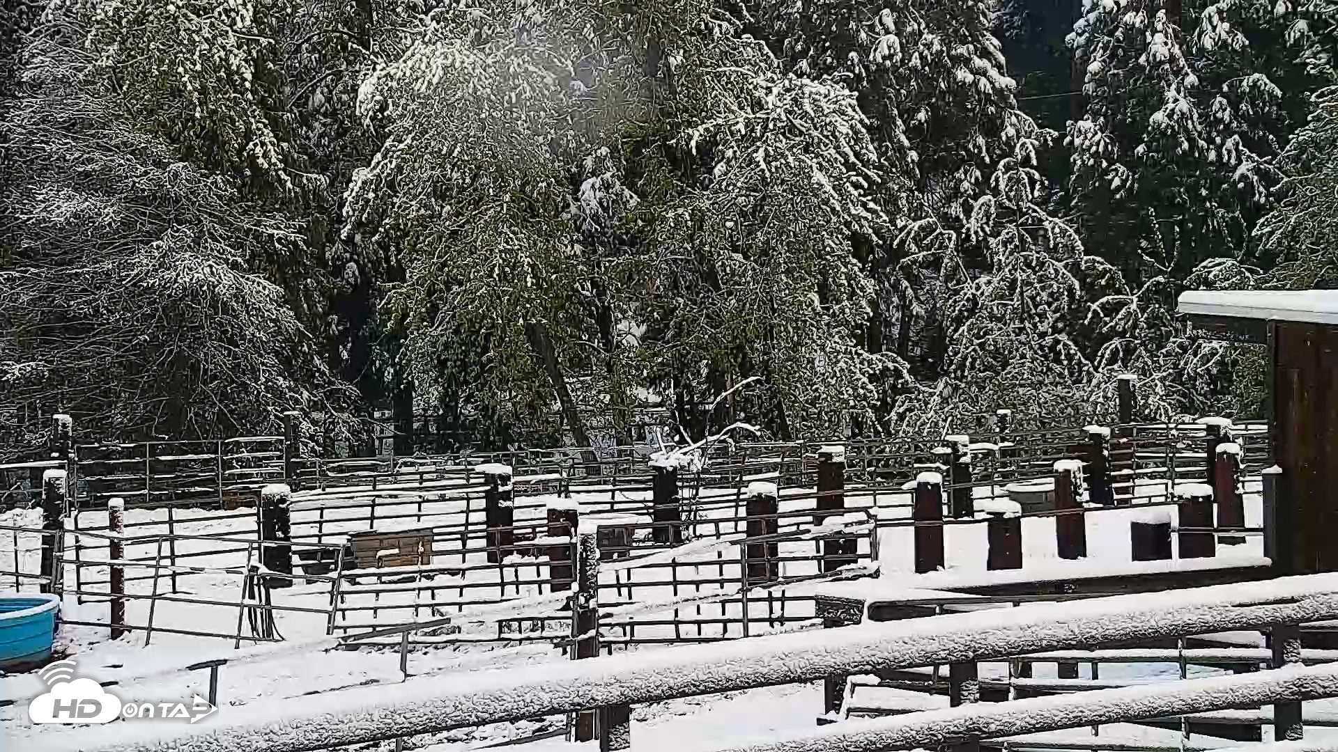 Snapshot of Greenhorn Ranch Live Horse Arena Cam taken Apr 12, 2026, 8:35am PDT