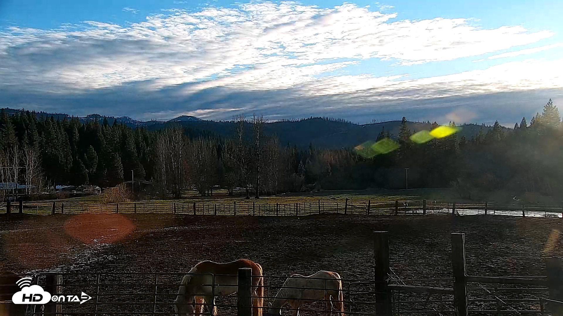 Snapshot of Greenhorn Ranch Live Horse Arena Cam taken Mar 1, 2026, 5:20pm PST