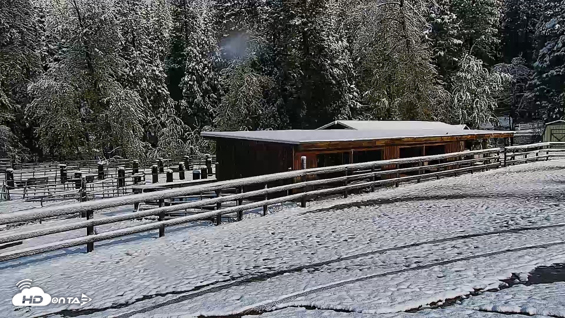 Snapshot of Greenhorn Ranch Live Horse Arena Cam taken Apr 12, 2026, 8:36am PDT