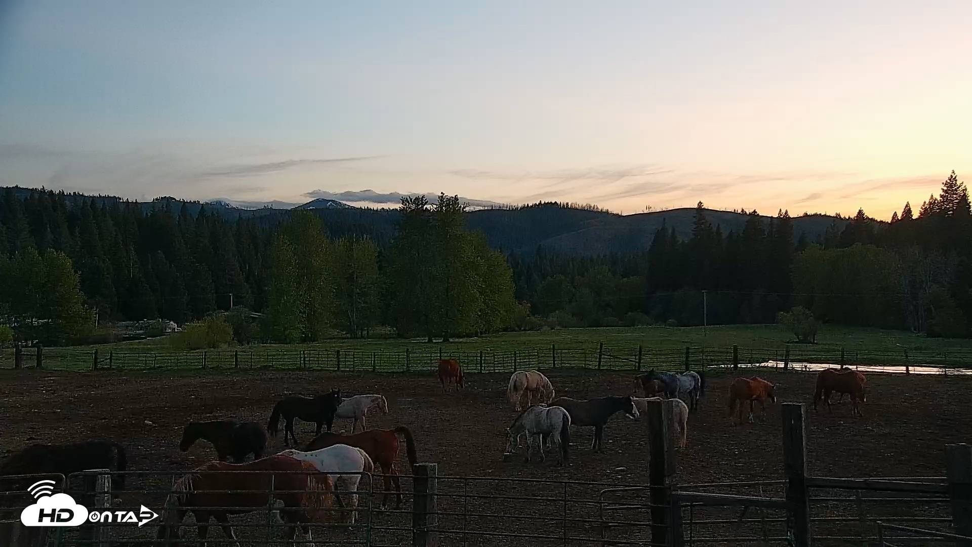 Snapshot of Greenhorn Ranch Live Horse Arena Cam taken Apr 23, 2026, 8:06pm PDT