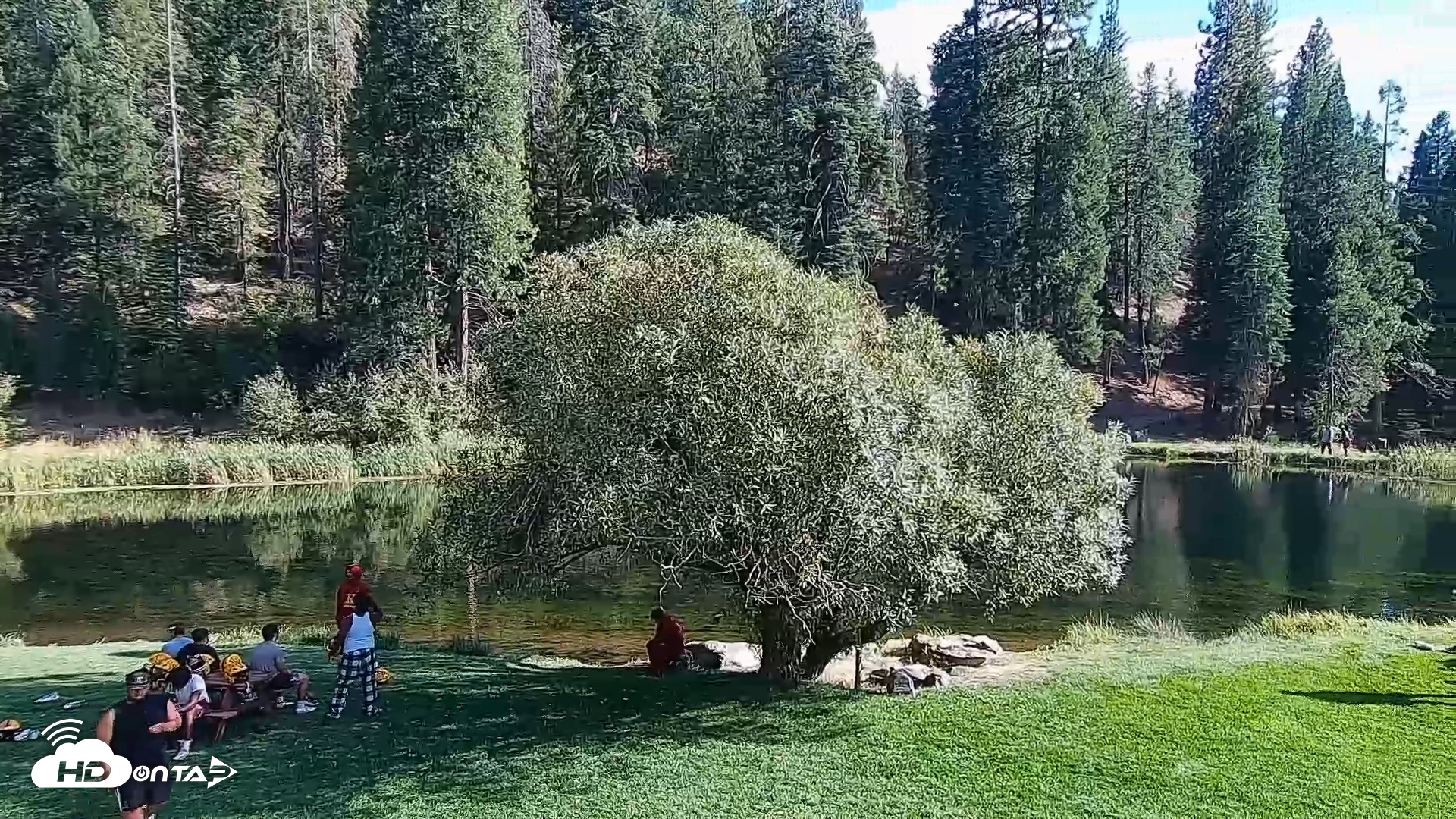 Snapshot of Greenhorn Ranch Live Horse Arena Cam taken Sep 18, 2026, 4:28pm PDT