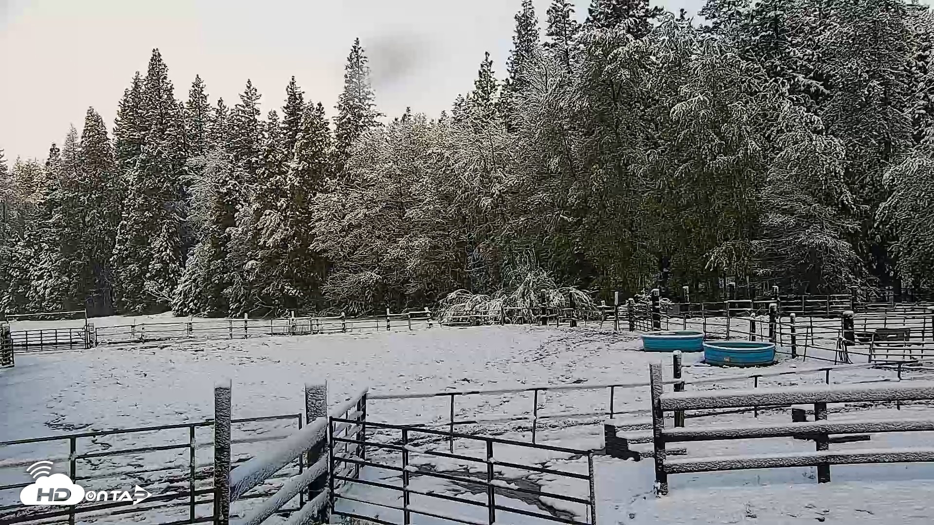 Snapshot of Greenhorn Ranch Live Horse Arena Cam taken Apr 12, 2026, 8:35am PDT