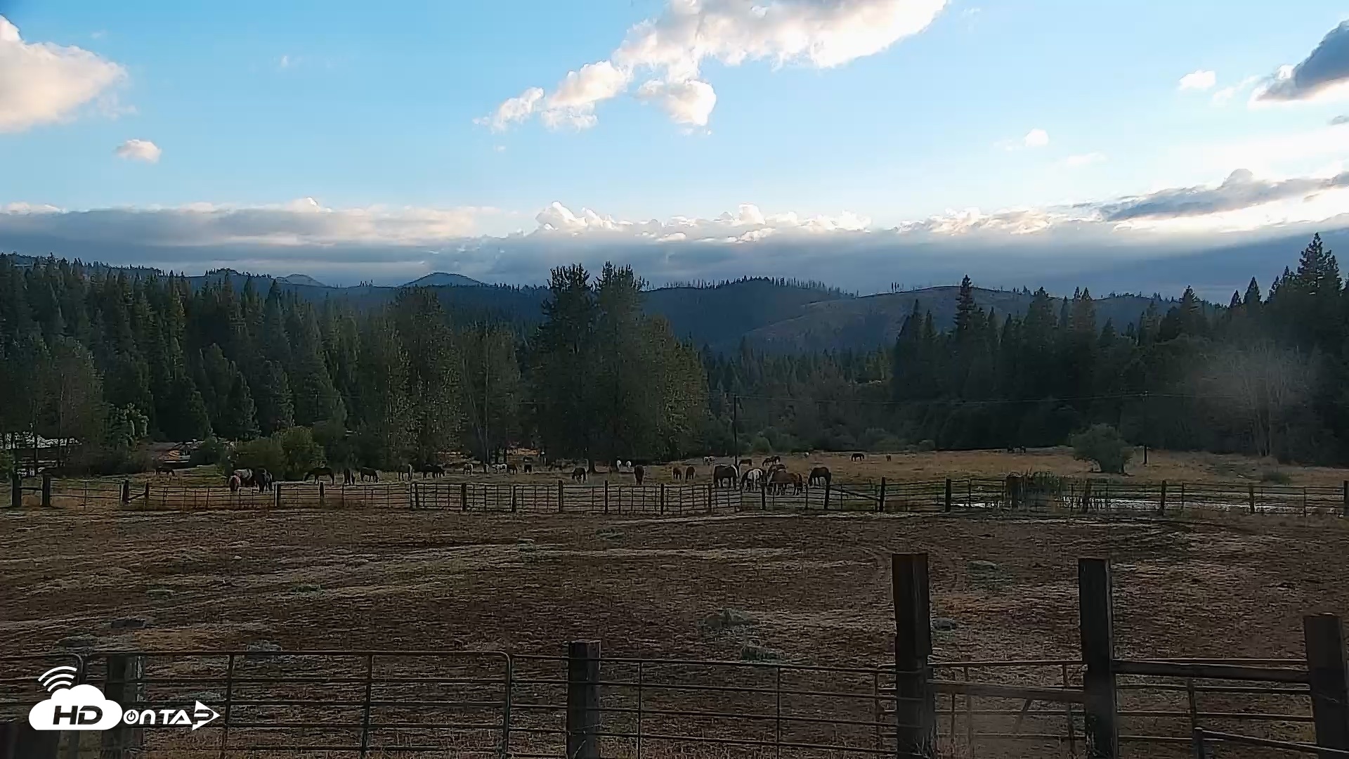 Snapshot of Greenhorn Ranch Live Horse Arena Cam taken Sep 5, 2026, 6:50pm PDT
