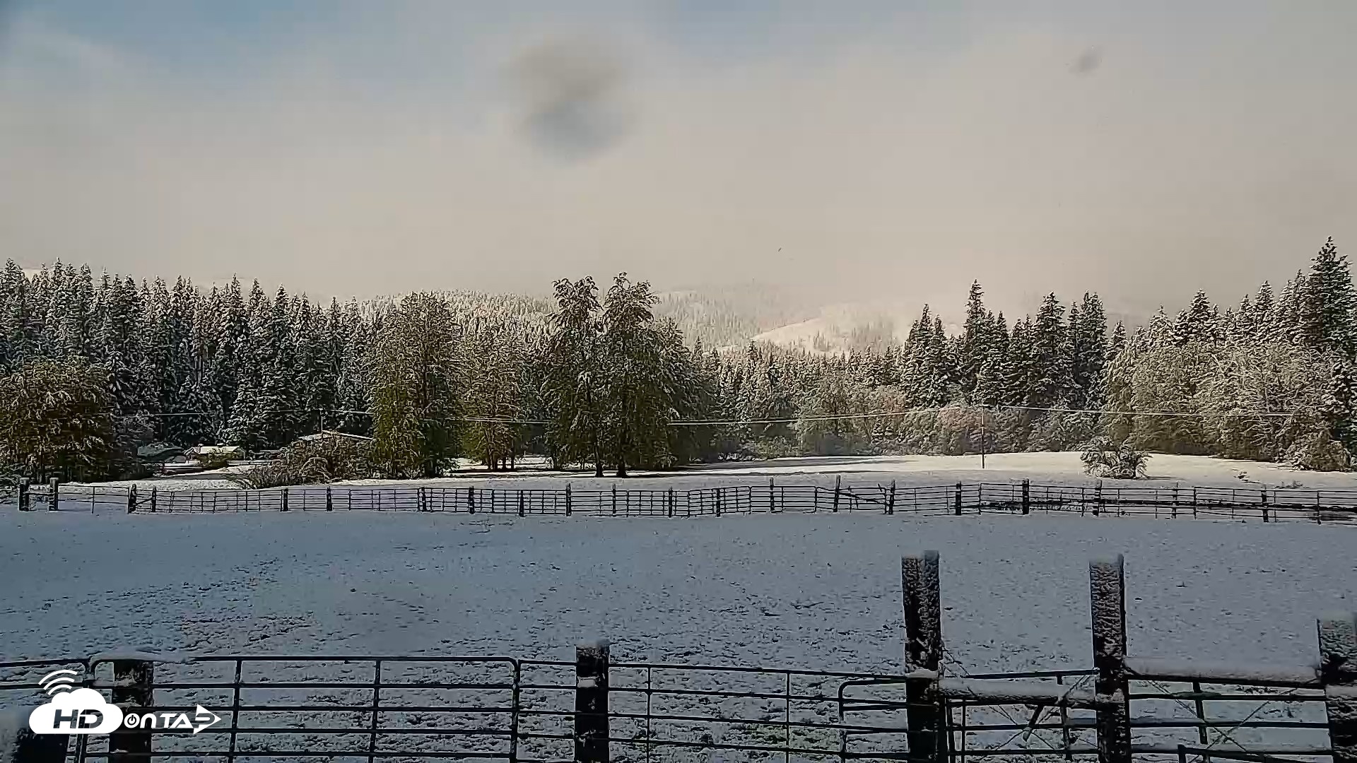 Snapshot of Greenhorn Ranch Live Horse Arena Cam taken Apr 12, 2026, 8:35am PDT