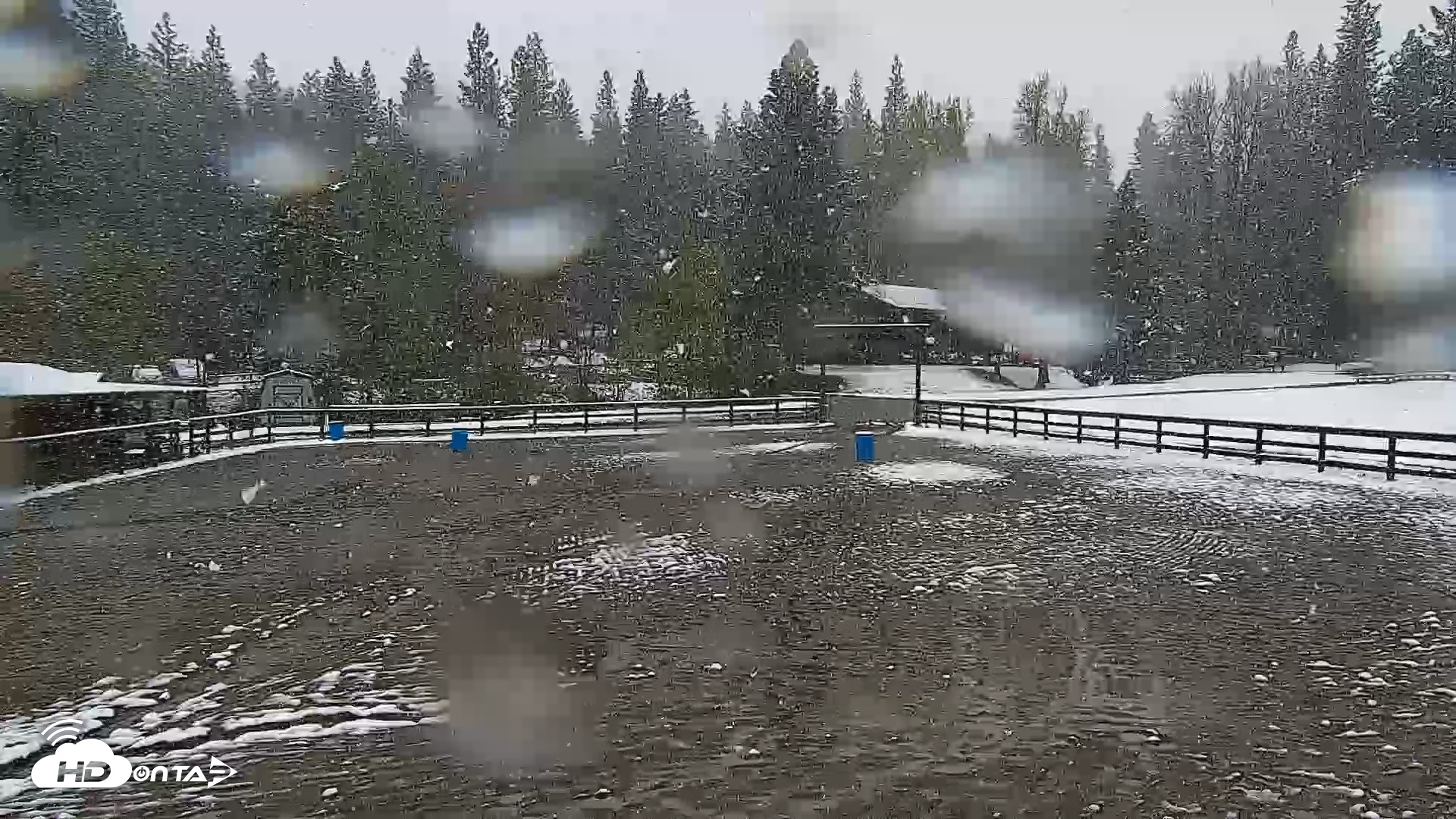 Snapshot of Greenhorn Ranch Live Horse Arena Cam taken Apr 12, 2026, 12:07pm PDT