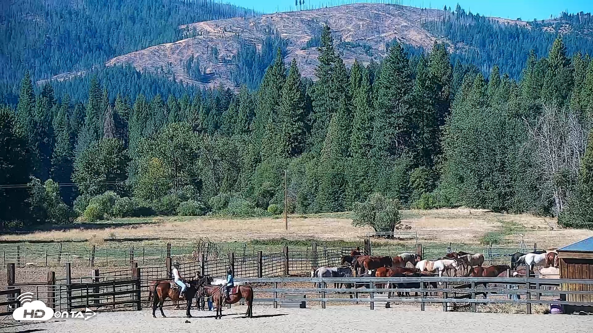 Snapshot of Greenhorn Ranch Live Horse Arena Cam taken Sep 15, 2025, 10:05am PDT
