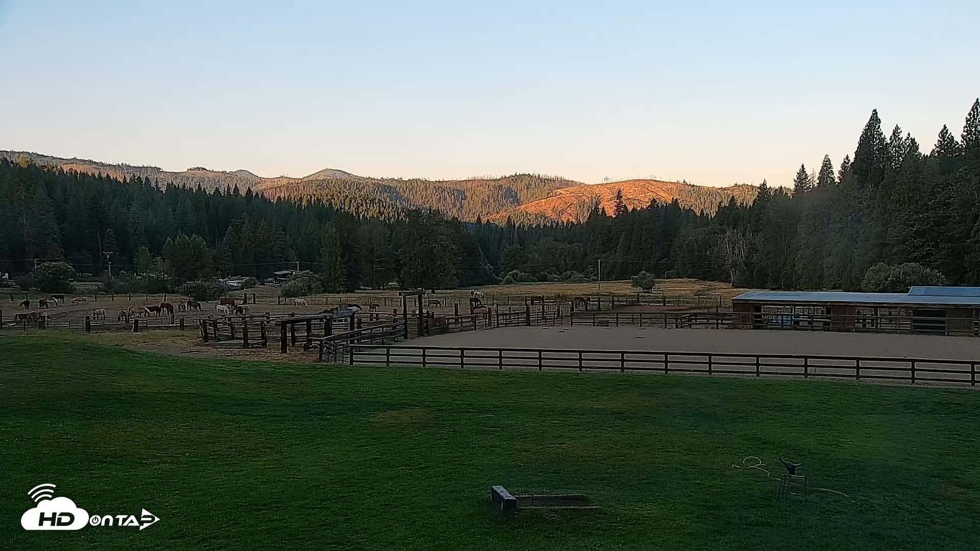 Snapshot of Greenhorn Ranch Live Horse Arena Cam taken Aug 25, 2025, 6:58am PDT
