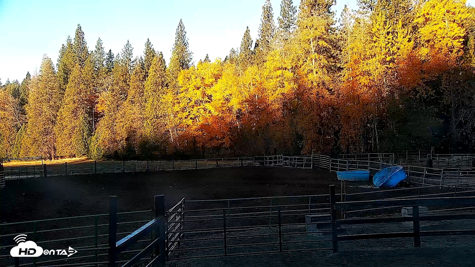 Snapshot of Greenhorn Ranch Live Horse Arena Cam taken Nov 3, 2025, 7:45am PST