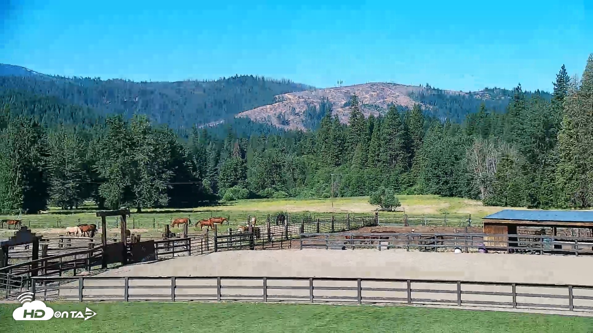 Snapshot of Greenhorn Ranch Live Horse Arena Cam taken Jun 12, 2025, 9:22am PDT