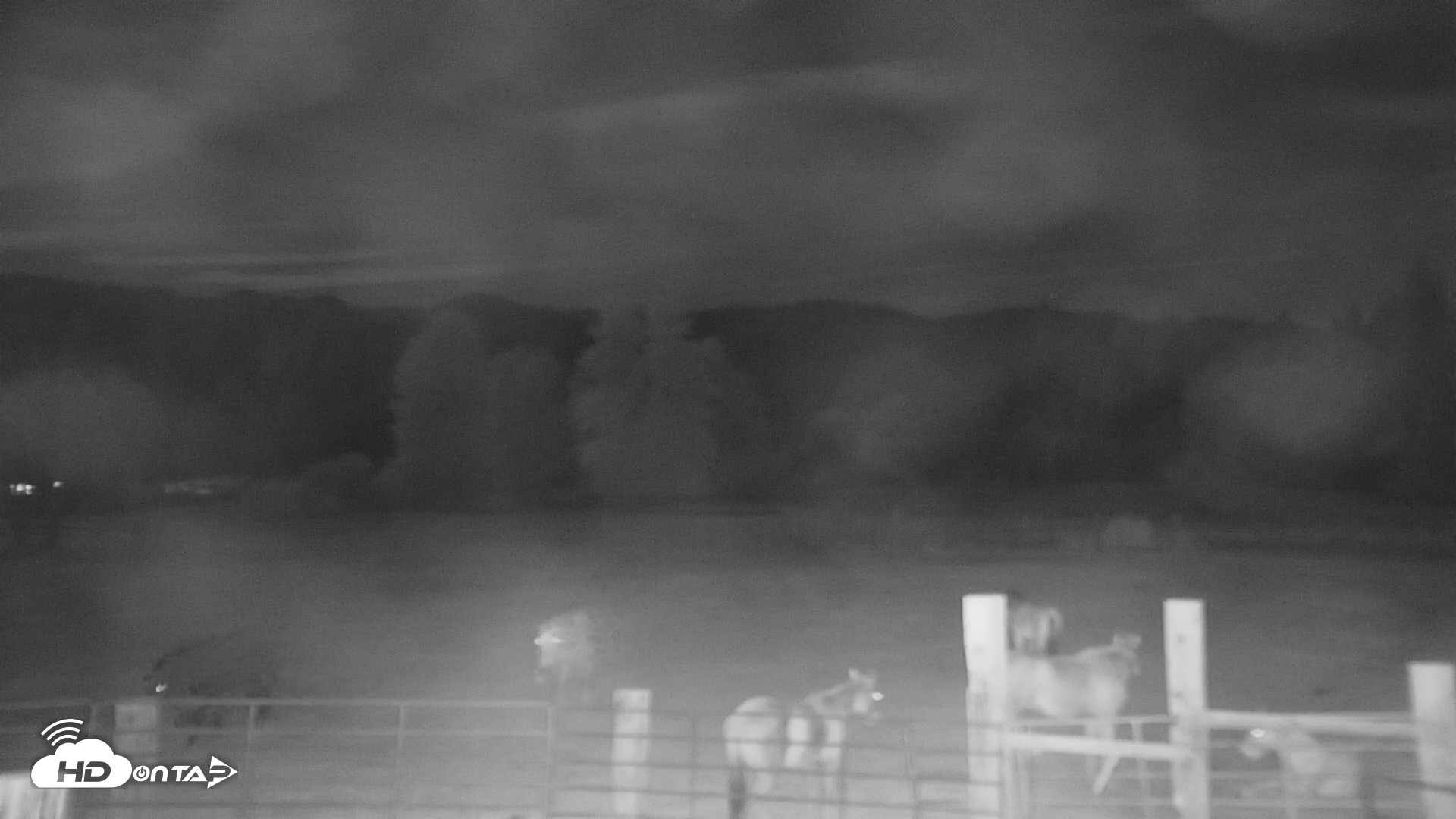Snapshot of Greenhorn Ranch Live Horse Arena Cam taken Oct 31, 2025, 10:01pm PDT