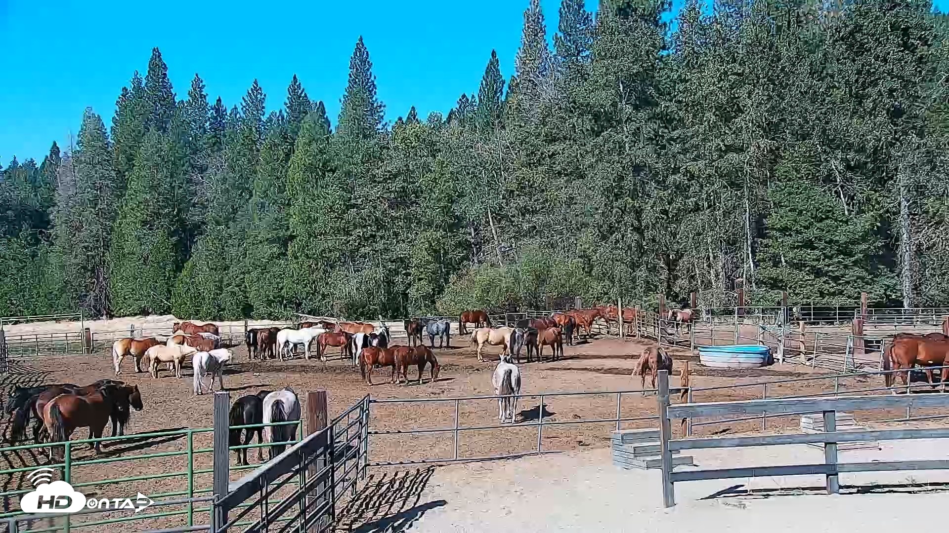 Snapshot of Greenhorn Ranch Live Horse Arena Cam taken Sep 22, 2026, 10:18am PDT
