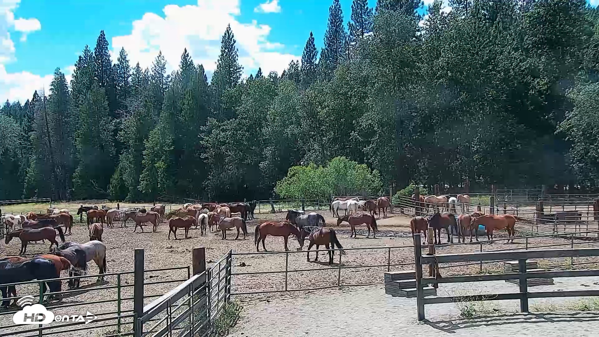 Snapshot of Greenhorn Ranch Live Horse Arena Cam taken Jun 26, 2026, 3:16pm PDT