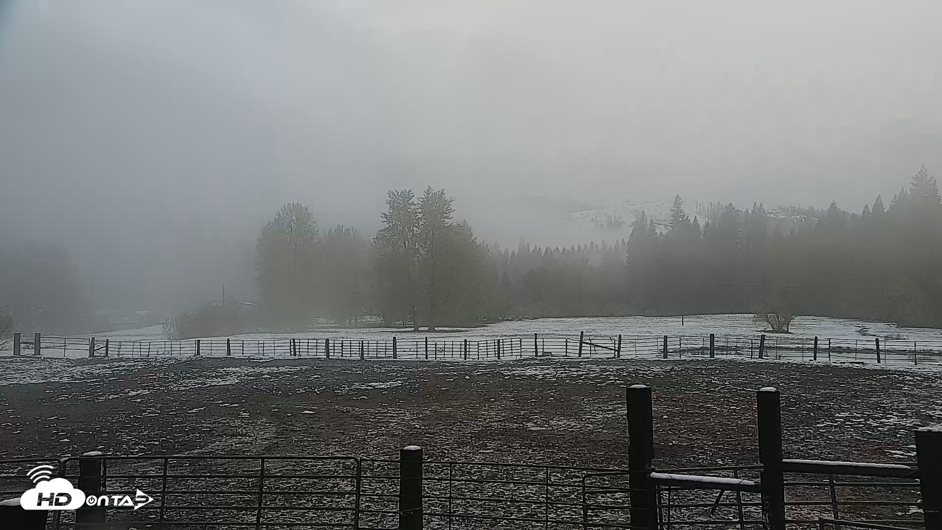 Snapshot of Greenhorn Ranch Live Horse Arena Cam taken Apr 12, 2026, 7:31pm PDT