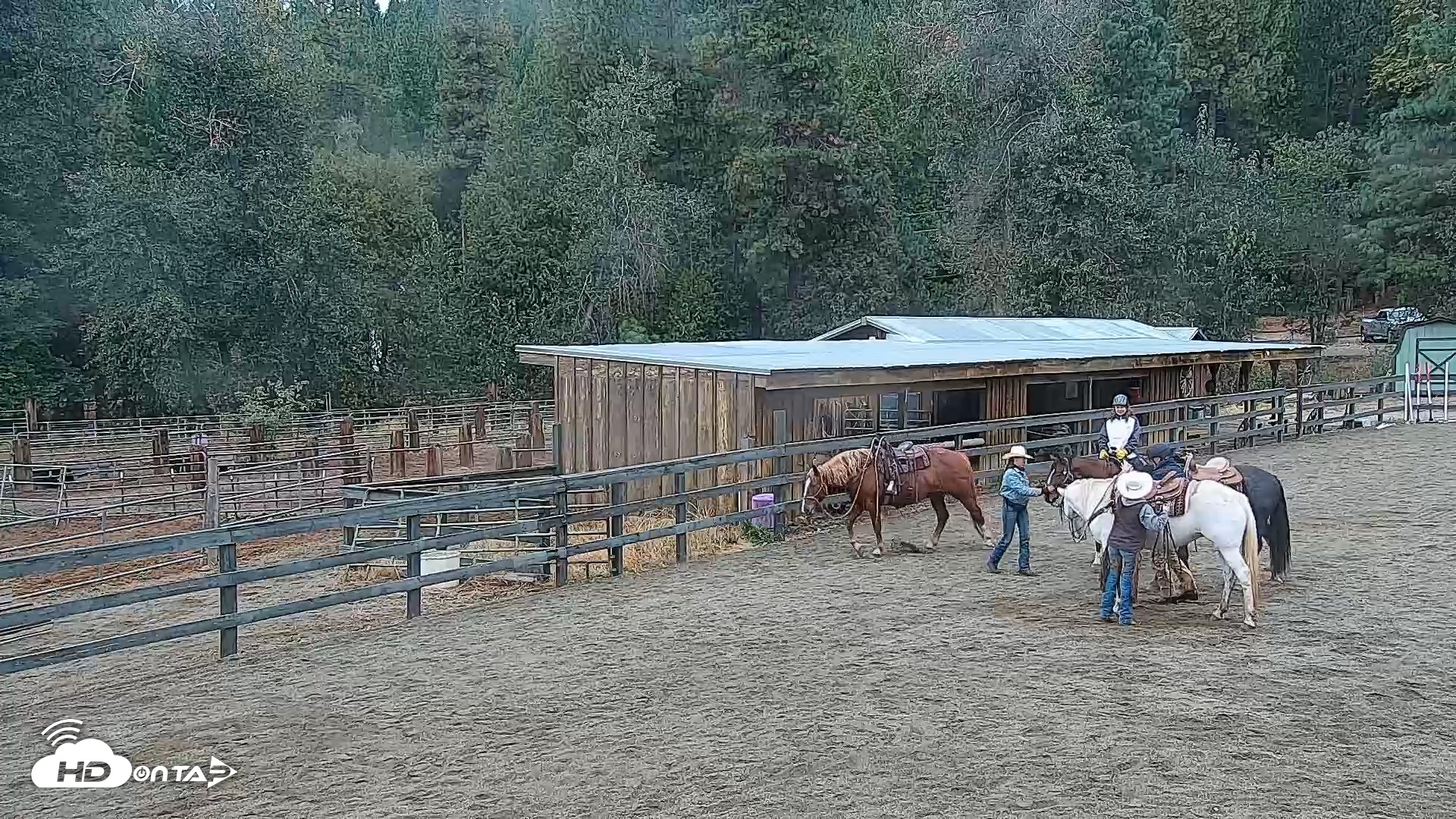 Snapshot of Greenhorn Ranch Live Horse Arena Cam taken Oct 1, 2025, 11:12am PDT