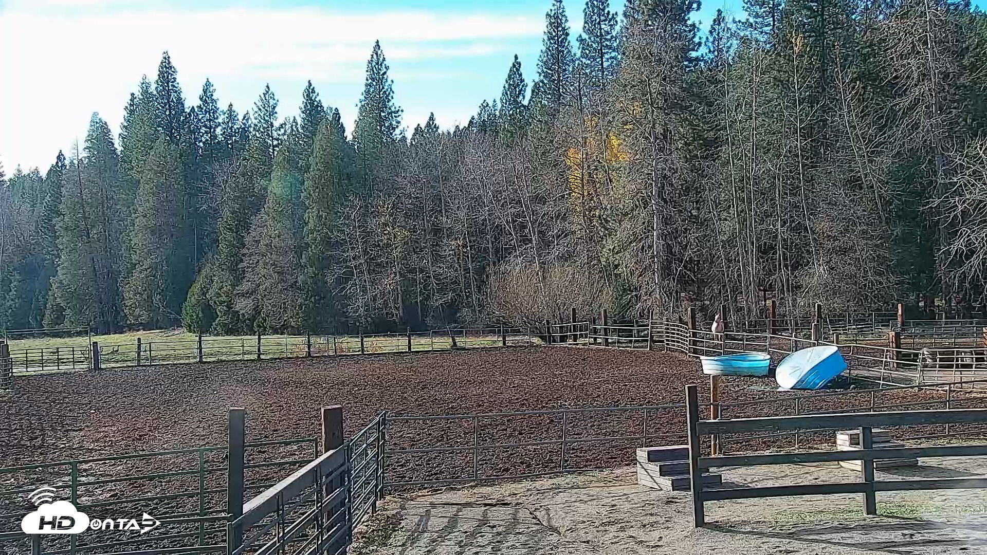 Snapshot of Greenhorn Ranch Live Horse Arena Cam taken Nov 15, 2025, 2:21pm PST