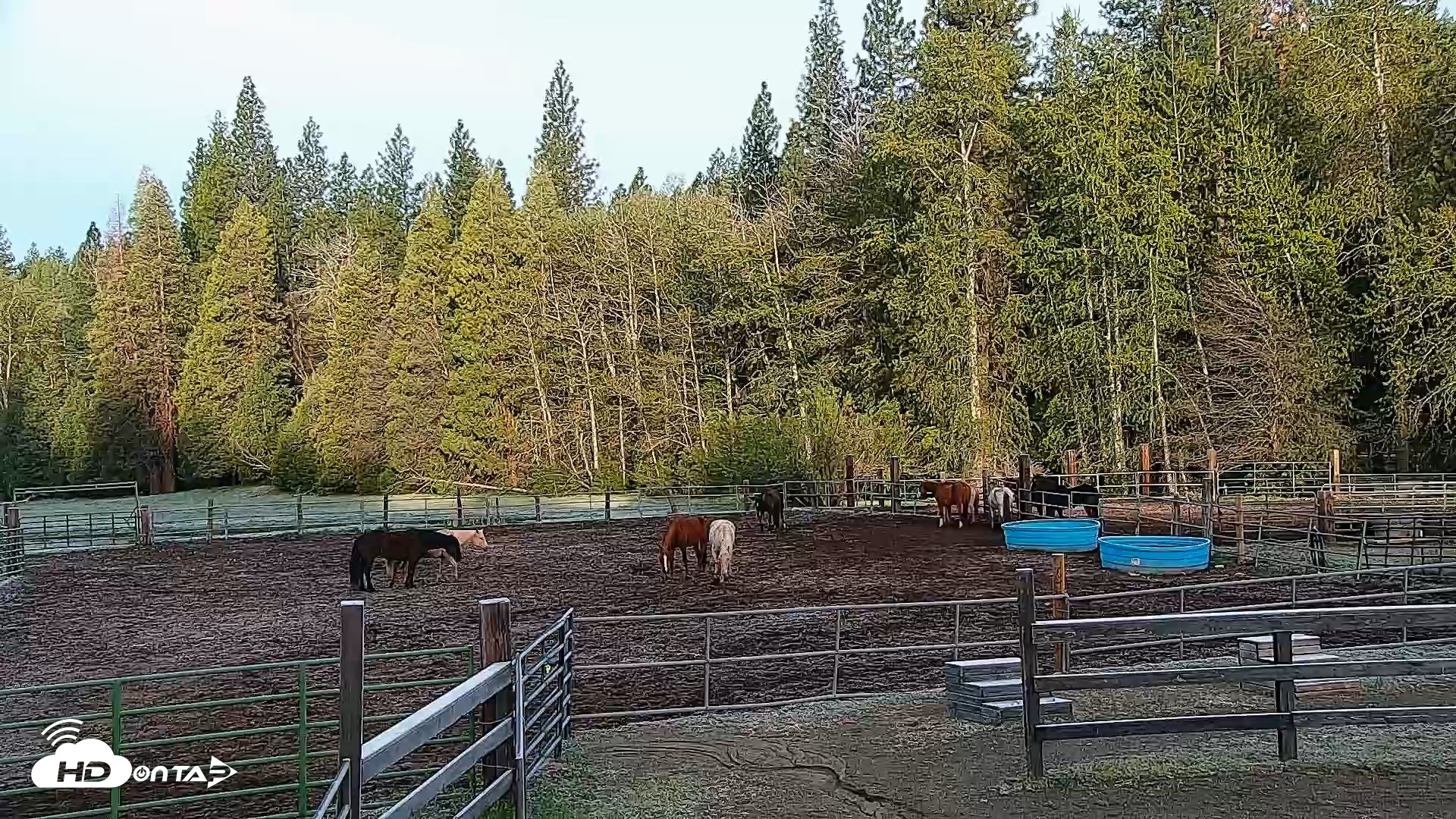 Snapshot of Greenhorn Ranch Live Horse Arena Cam taken Apr 14, 2026, 7:19am PDT