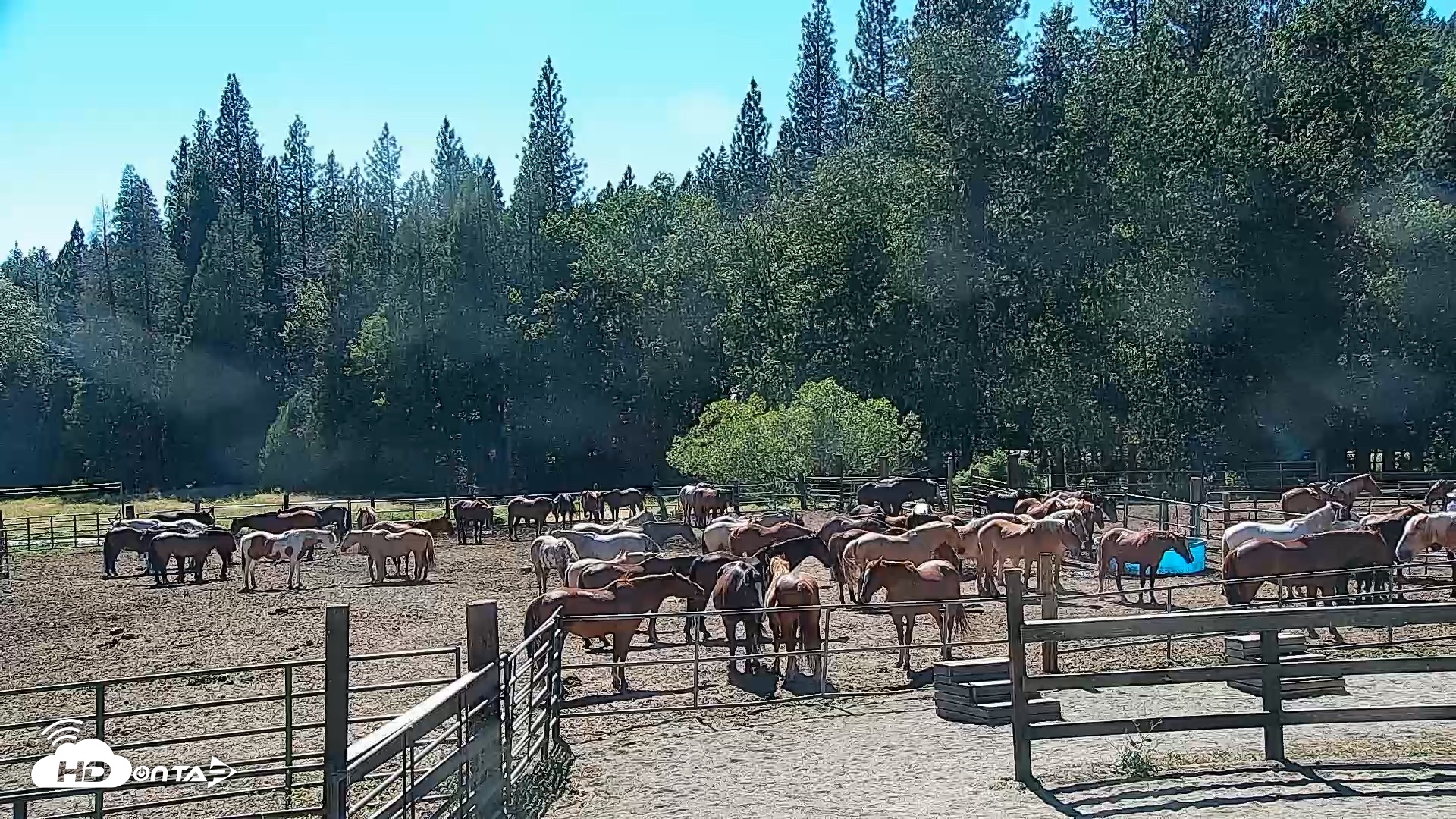 Snapshot of Greenhorn Ranch Live Horse Arena Cam taken Jun 10, 2026, 4:14pm PDT