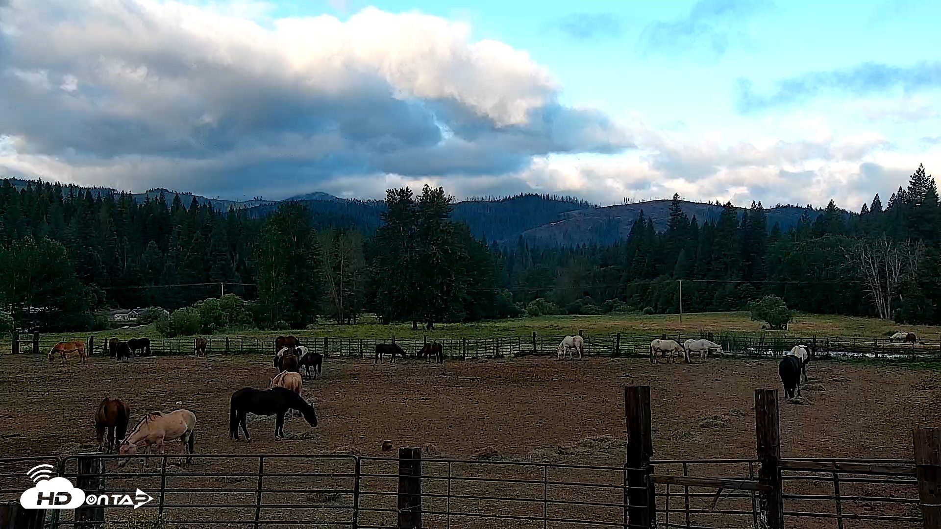 Snapshot of Greenhorn Ranch Live Horse Arena Cam taken Jun 9, 2026, 6:24am PDT