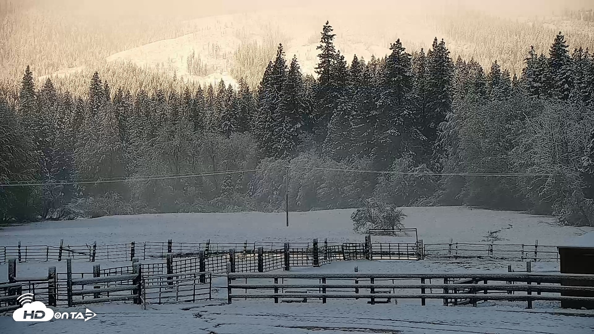 Snapshot of Greenhorn Ranch Live Horse Arena Cam taken Apr 12, 2026, 8:34am PDT