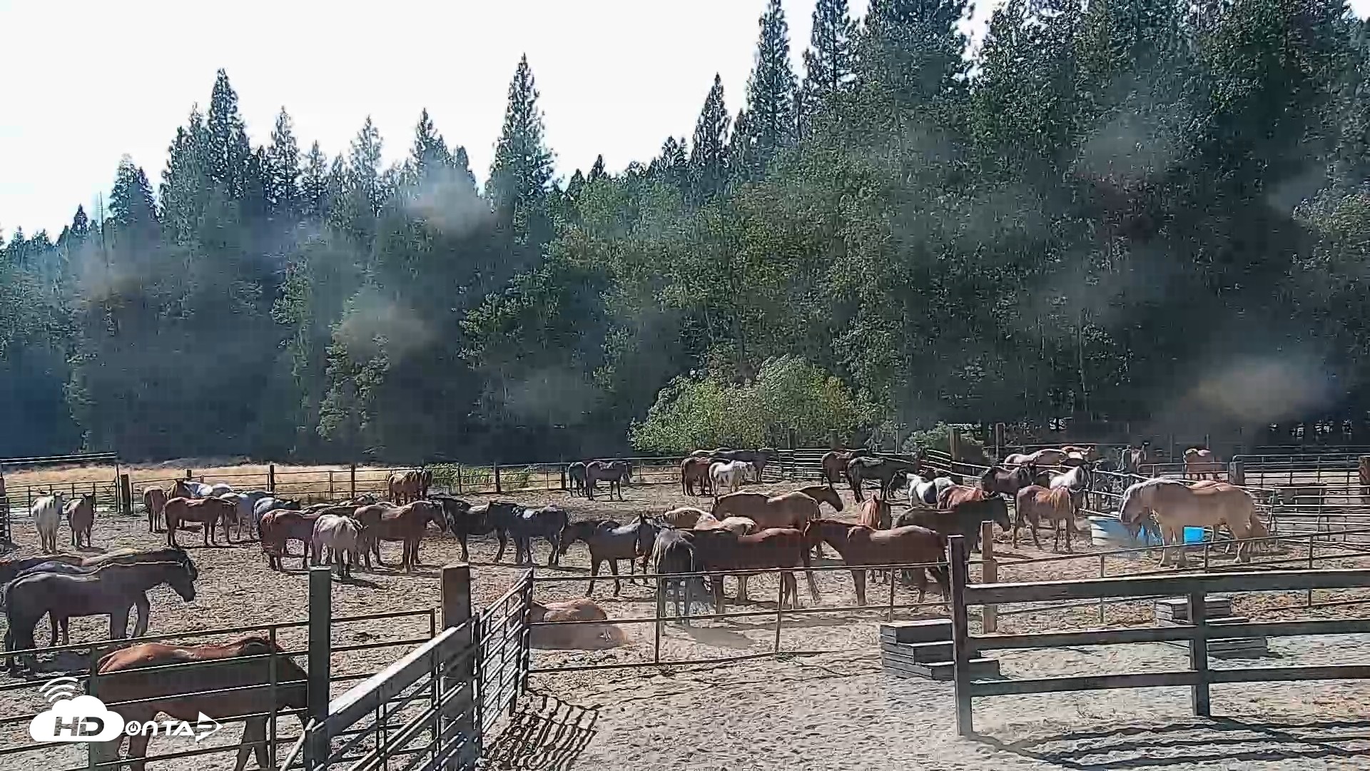 Snapshot of Greenhorn Ranch Live Horse Arena Cam taken Sep 1, 2026, 3:55pm PDT