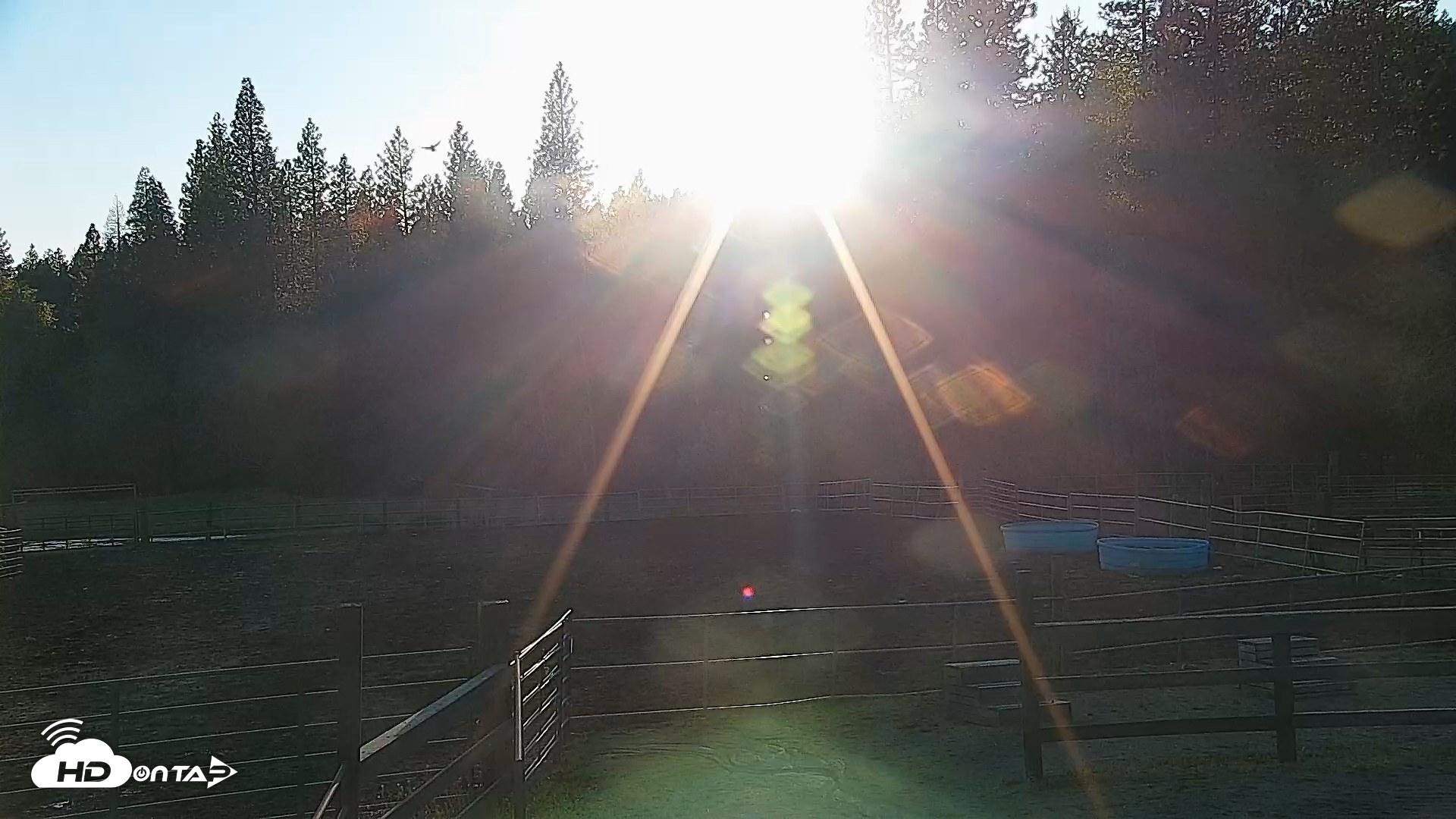 Snapshot of Greenhorn Ranch Live Horse Arena Cam taken Apr 13, 2026, 6:51pm PDT