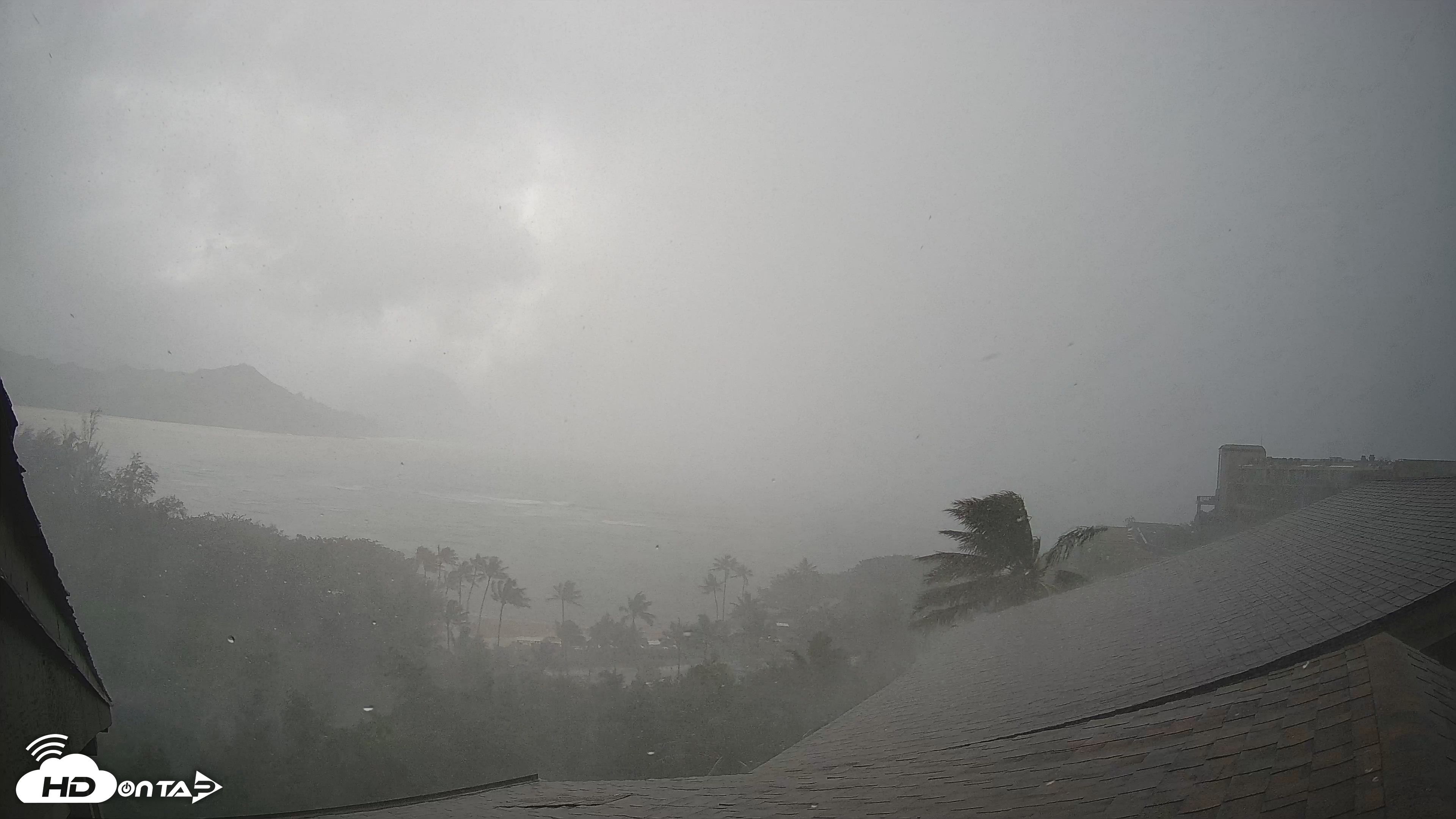 Snapshot of Hanalei Bay Resort - Kauai Hawaii Live Webcam taken Aug 16, 2026, 2:45pm HST