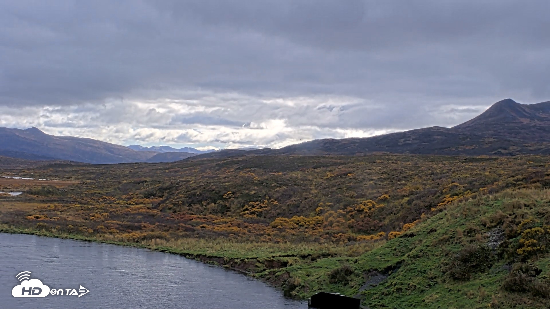 Snapshot of Kodiak Alaska Brown Bears Live Webcam taken Oct 6, 2026, 2:20pm AKDT