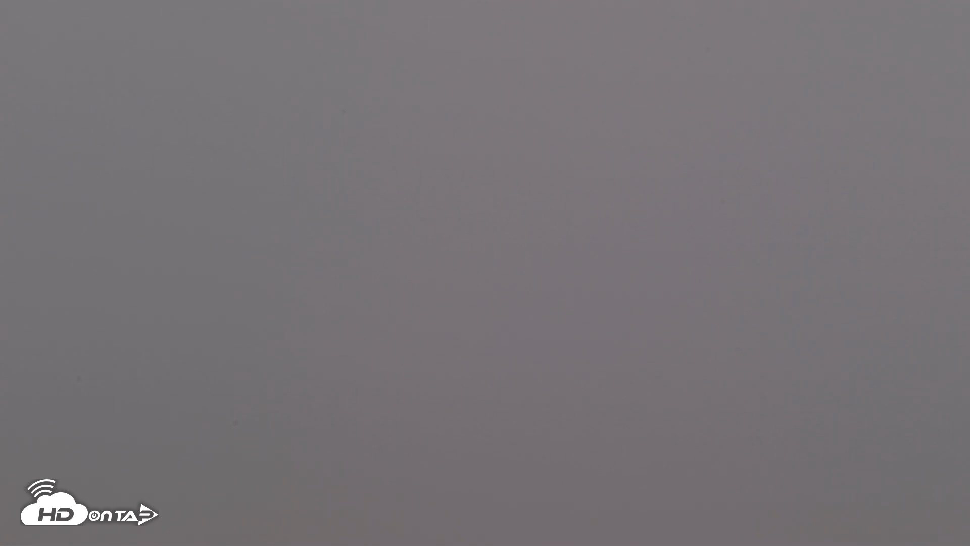 Snapshot of Kodiak Alaska Brown Bears Live Webcam taken Aug 10, 2026, 9:15am AKDT
