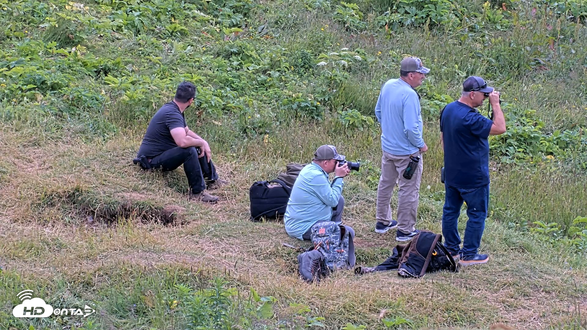Snapshot of Kodiak Alaska Brown Bears Live Webcam taken Aug 2, 2026, 12:17pm AKDT