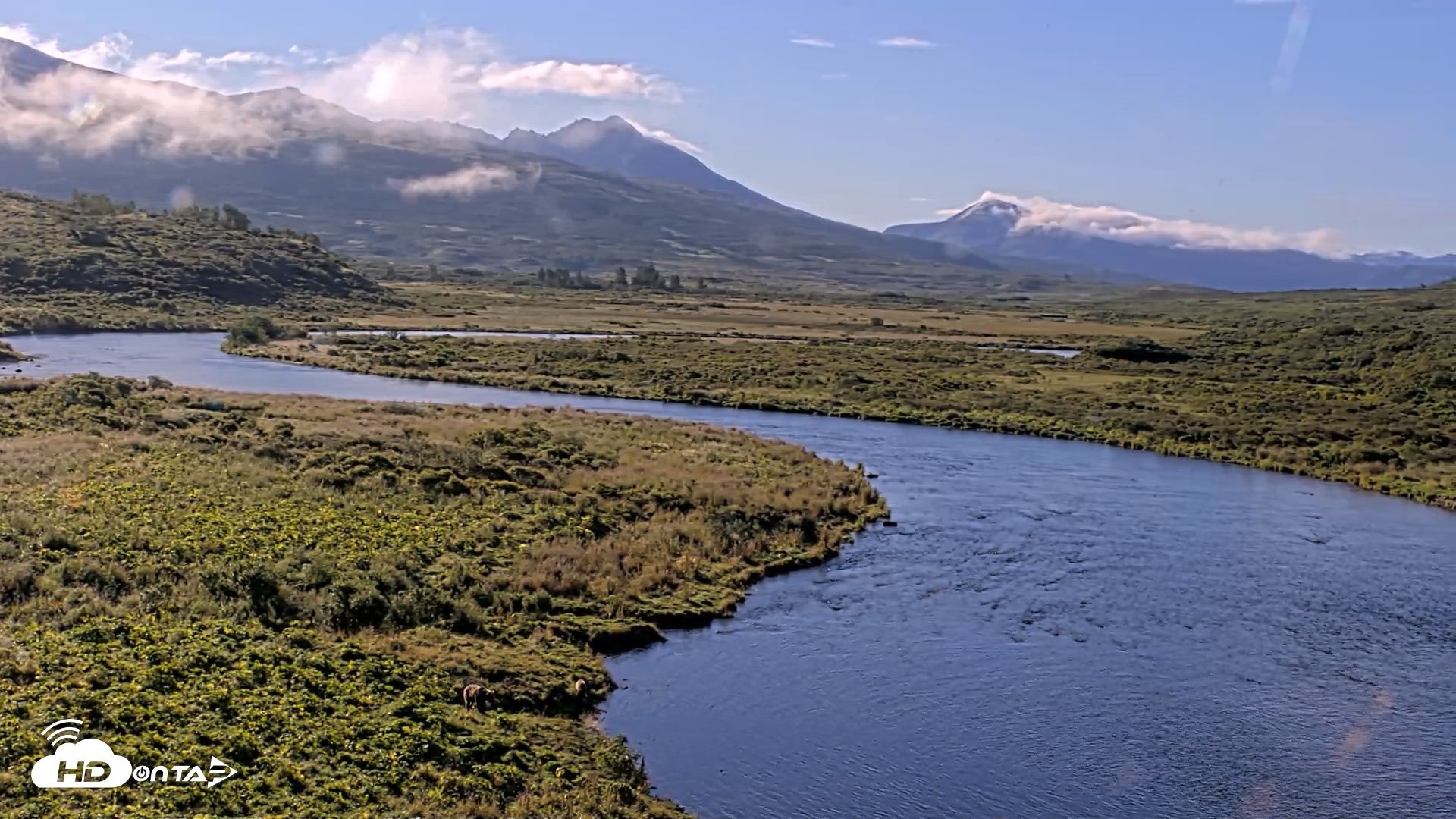 Snapshot of Kodiak Alaska Brown Bears Live Webcam taken Aug 23, 2026, 9:32am AKDT