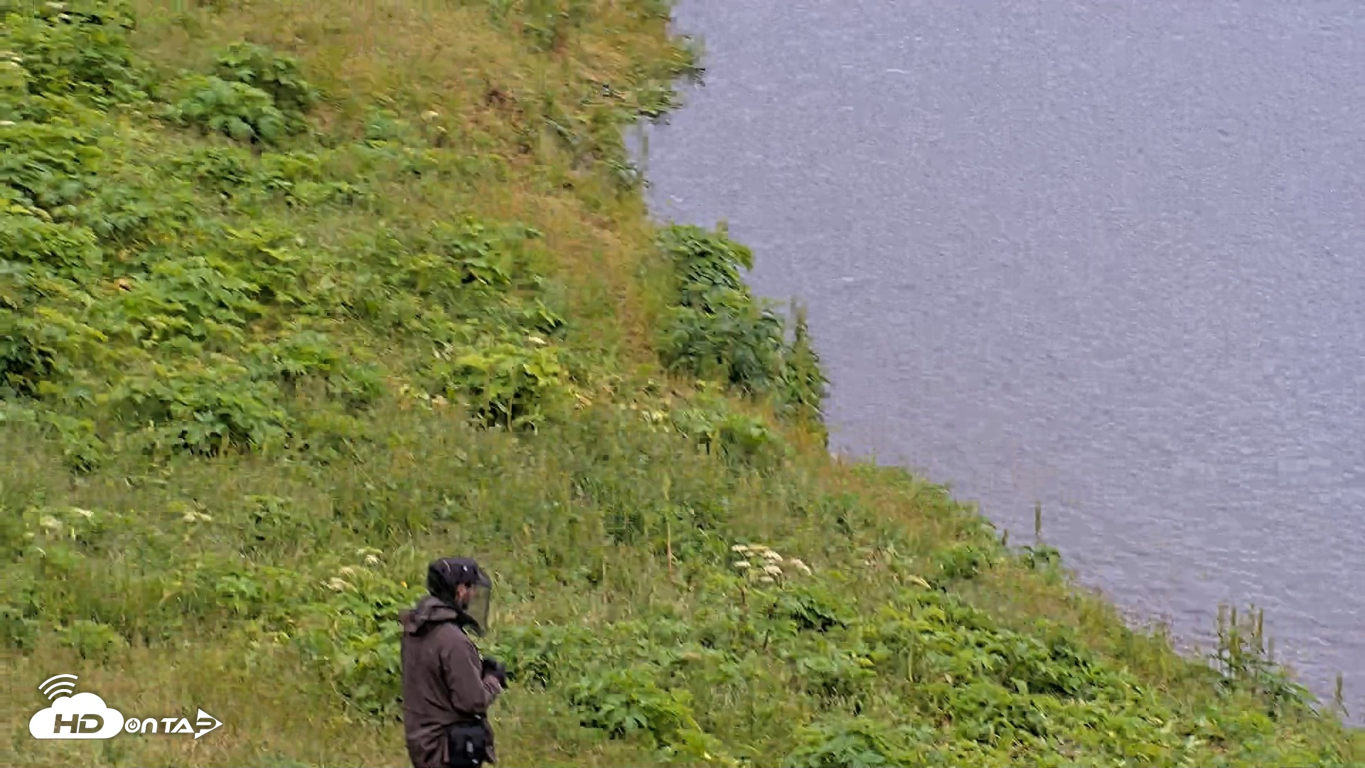 Snapshot of Kodiak Alaska Brown Bears Live Webcam taken Jul 27, 2026, 3:31pm AKDT