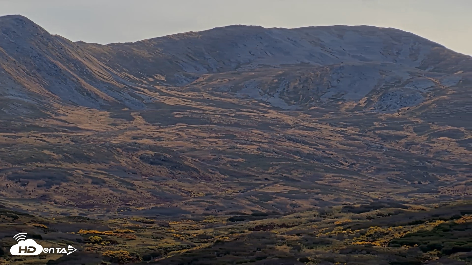 Snapshot of Kodiak Alaska Brown Bears Live Webcam taken Oct 8, 2026, 4:27pm AKDT