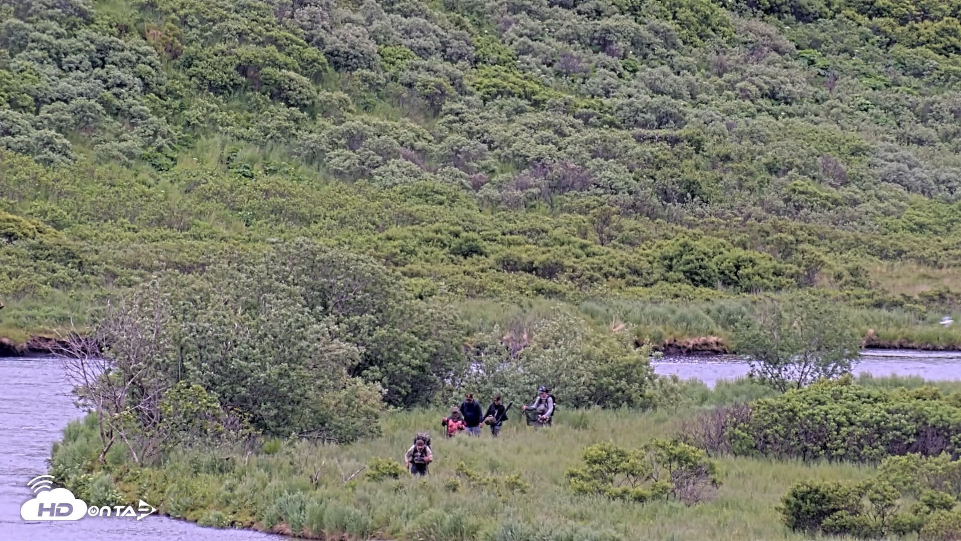 Snapshot of Kodiak Alaska Brown Bears Live Webcam taken Jul 12, 2026, 2:17pm AKDT