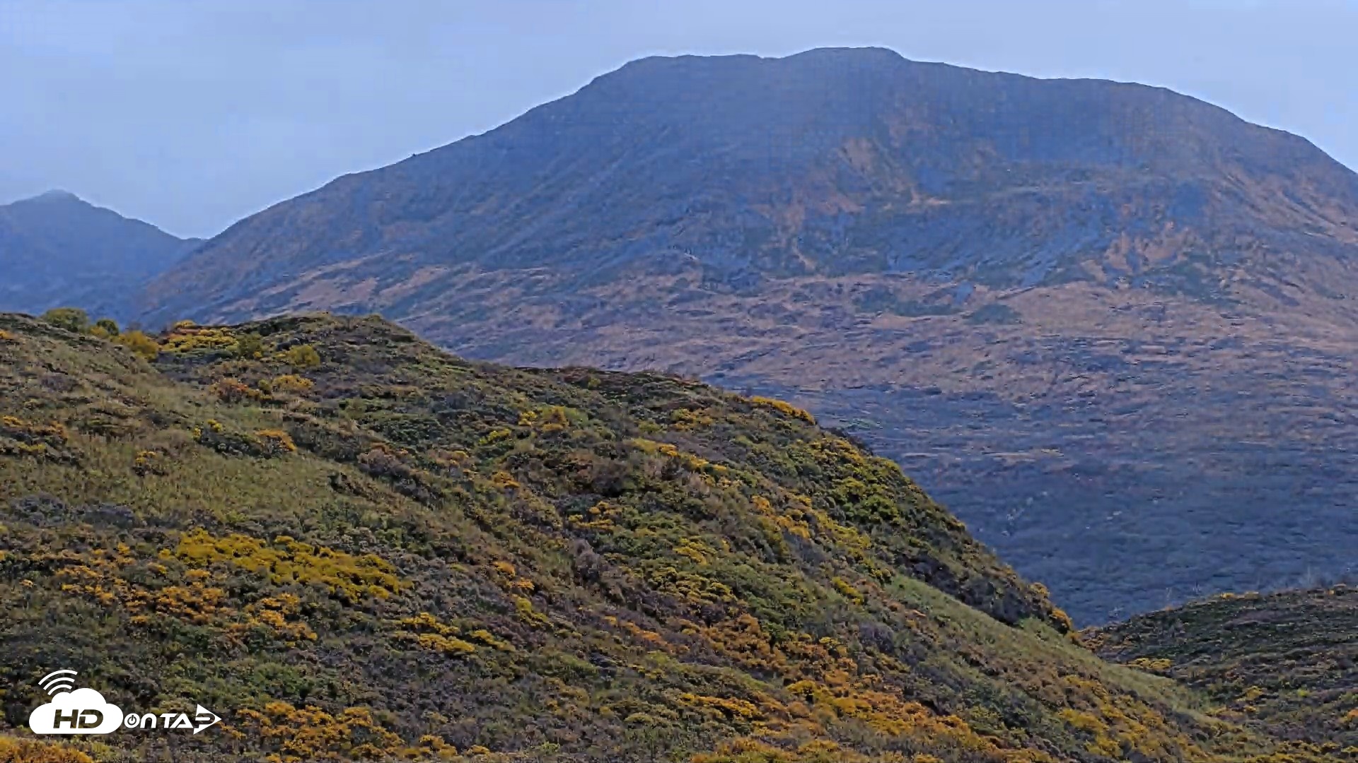 Snapshot of Kodiak Alaska Brown Bears Live Webcam taken Oct 6, 2026, 2:15pm AKDT