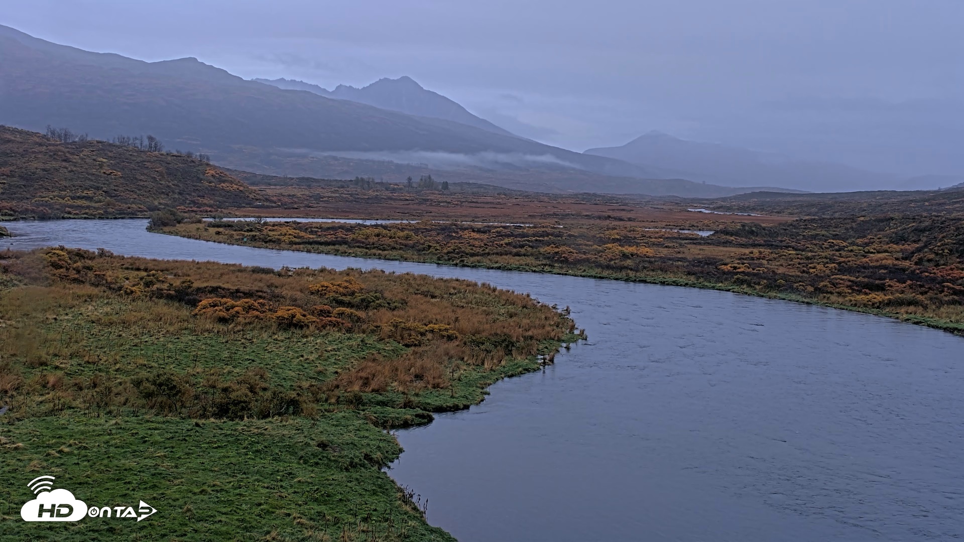 Snapshot of Kodiak Alaska Brown Bears Live Webcam taken Oct 5, 2026, 8:27am AKDT