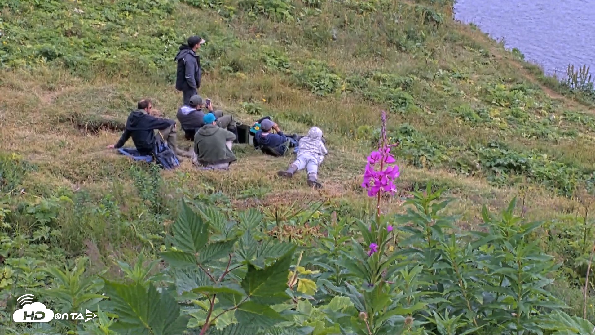 Snapshot of Kodiak Alaska Brown Bears Live Webcam taken Aug 11, 2026, 4:33pm AKDT