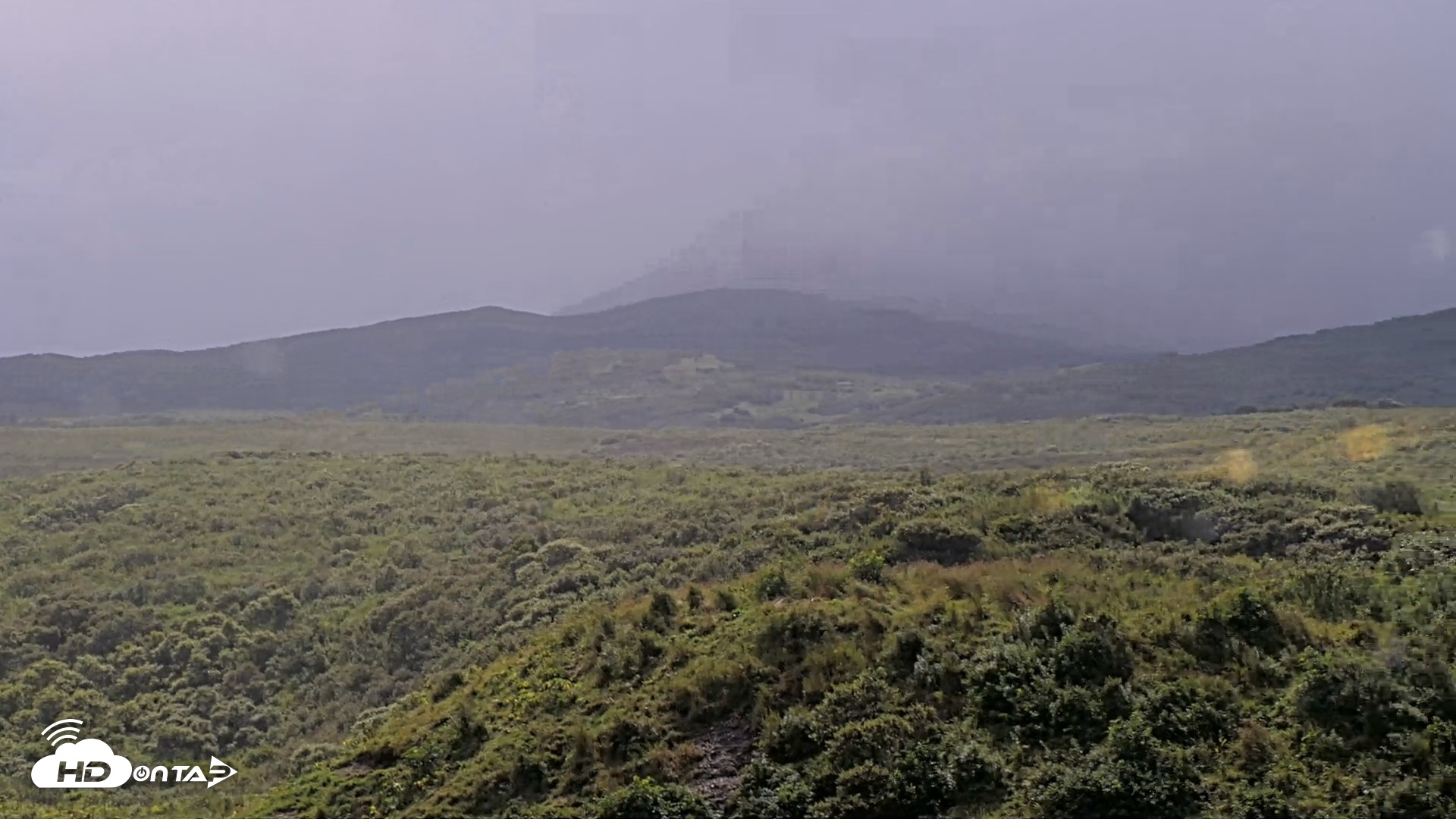 Snapshot of Kodiak Alaska Brown Bears Live Webcam taken Aug 22, 2026, 1:52pm AKDT