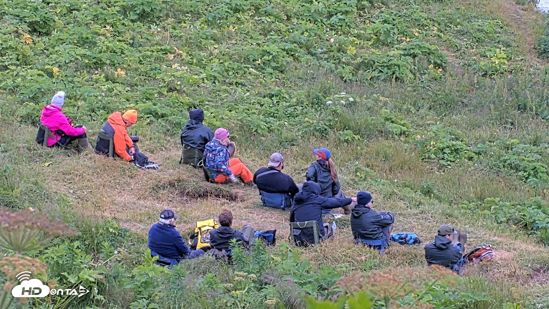 Snapshot of Kodiak Alaska Brown Bears Live Webcam taken Aug 3, 2026, 3:07pm AKDT