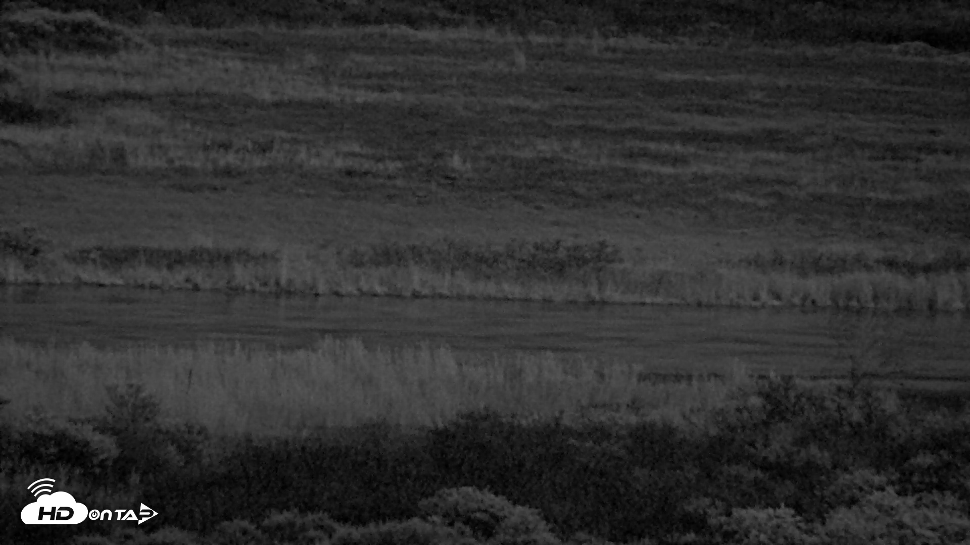 Snapshot of Kodiak Alaska Brown Bears Live Webcam taken Oct 21, 2026, 7:41pm AKDT