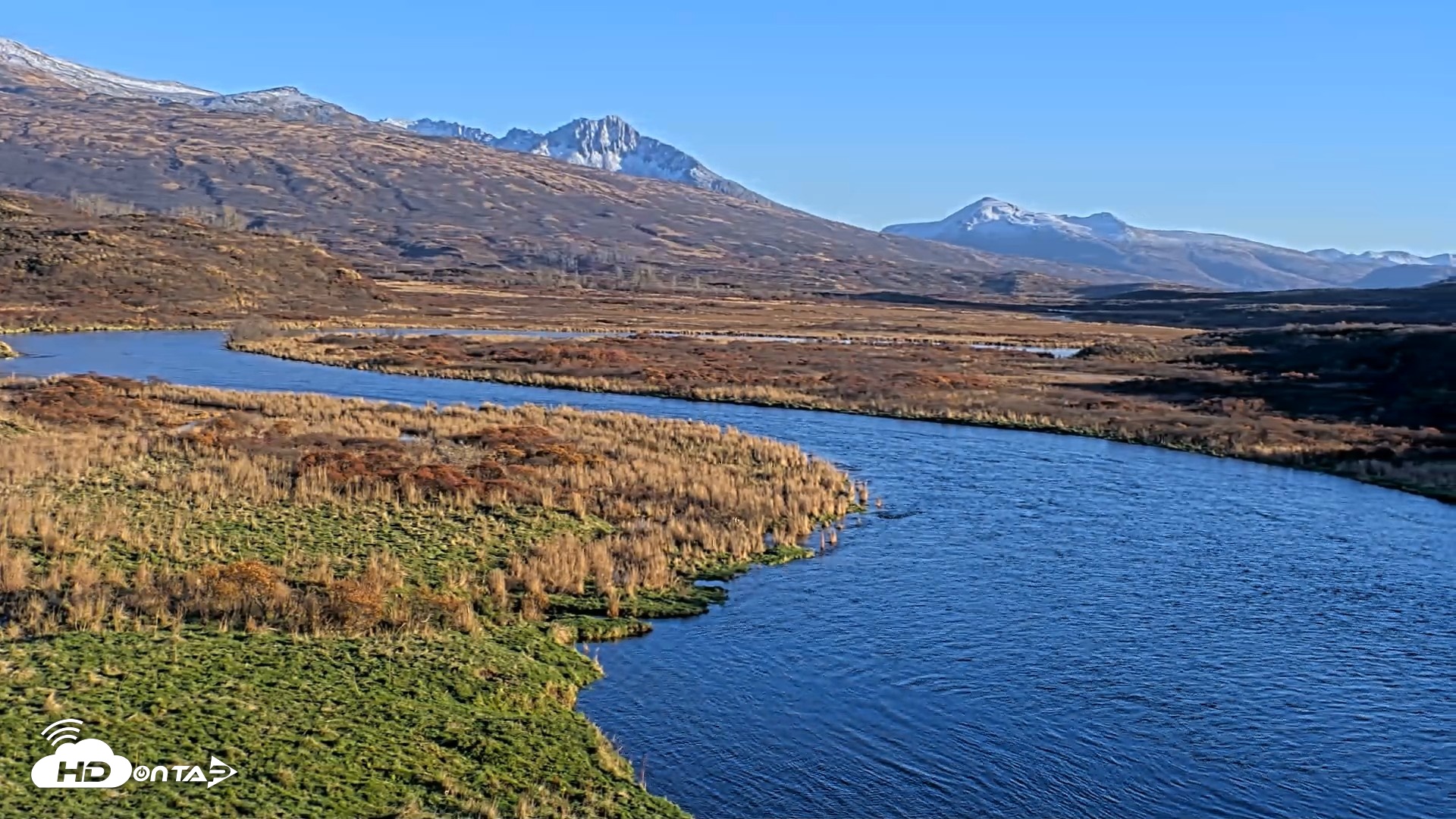 Snapshot of Kodiak Alaska Brown Bears Live Webcam taken Oct 22, 2026, 5:24pm AKDT